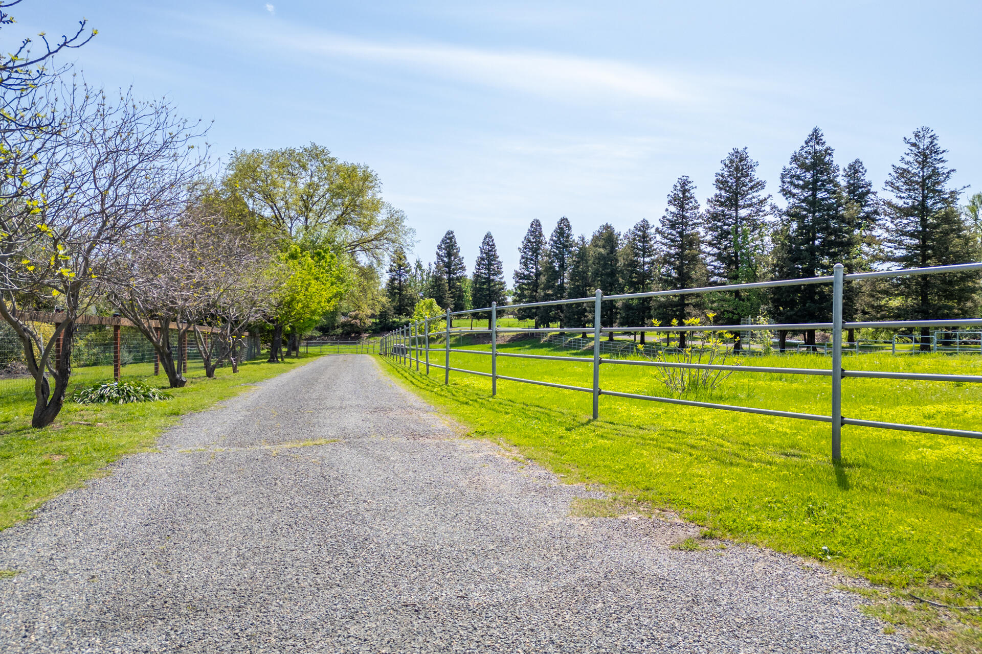 main property photo 58