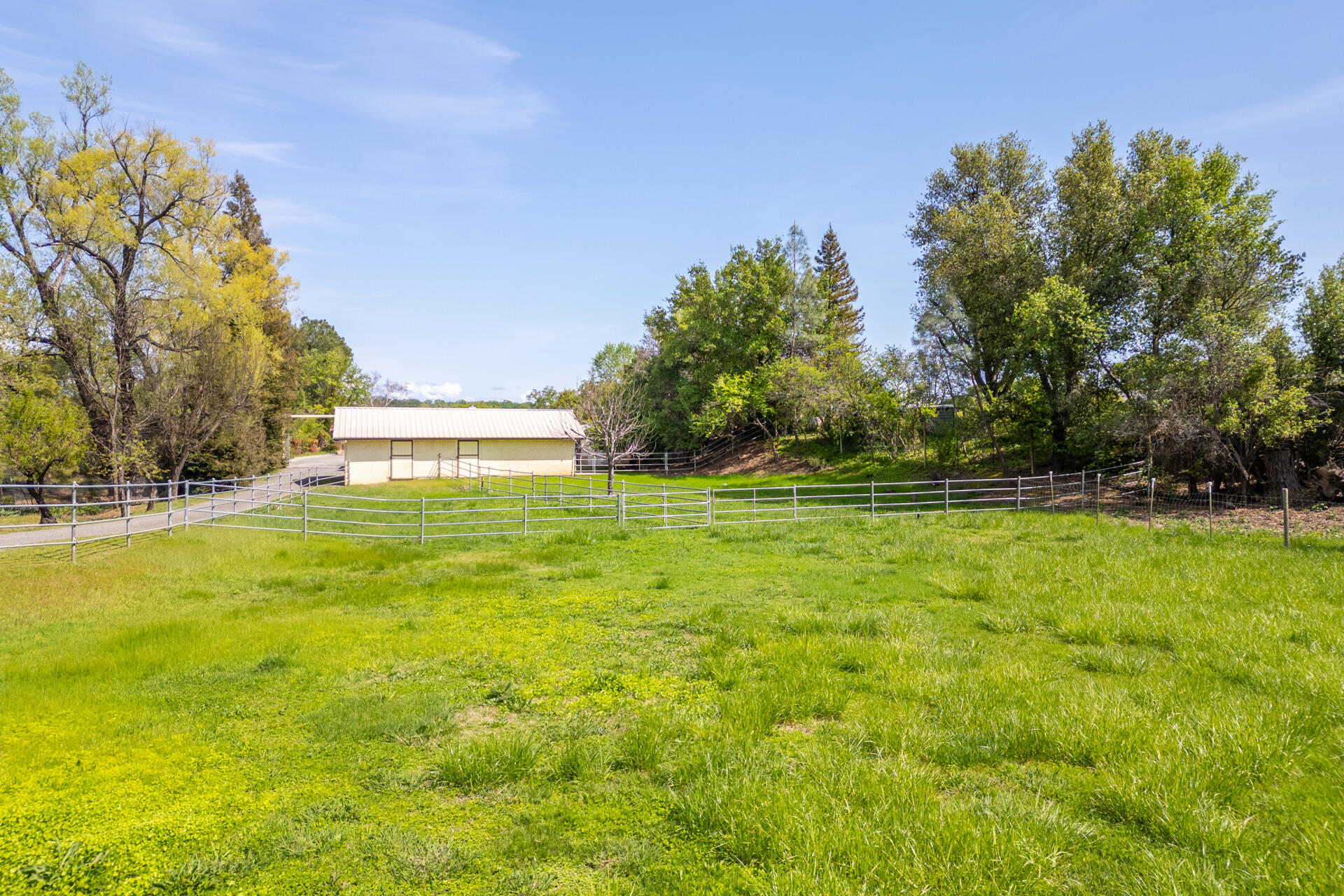 main property photo 59