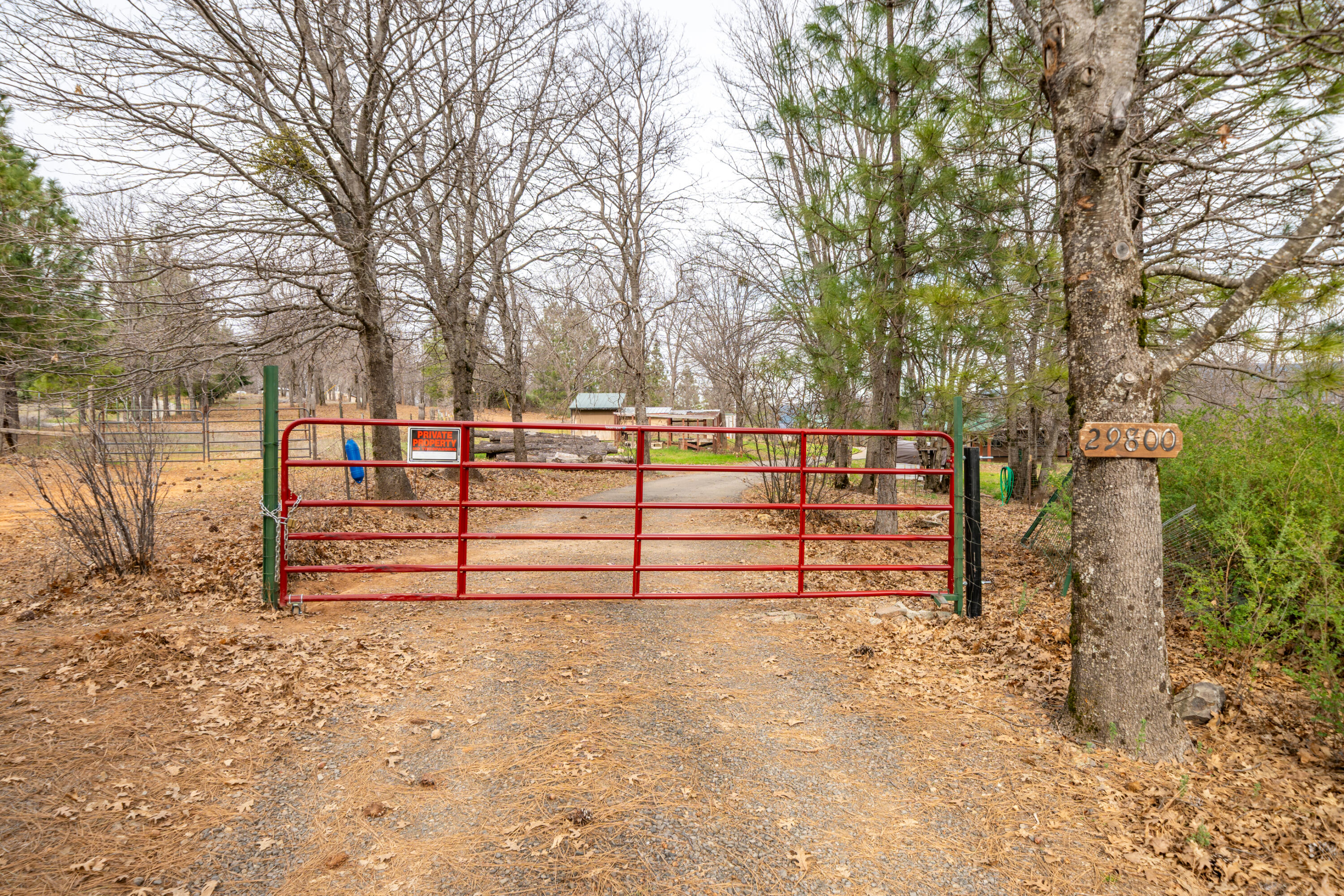 main property photo 47