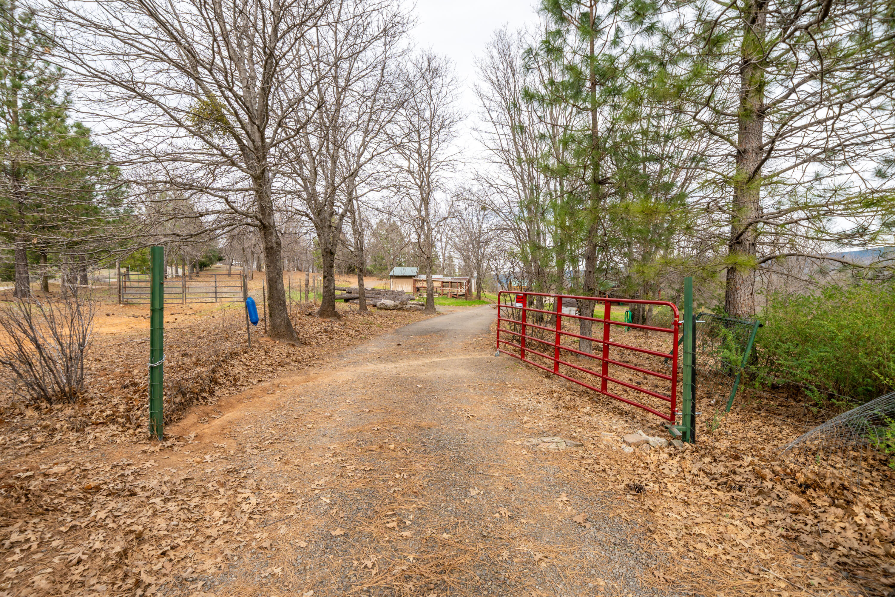 main property photo 50