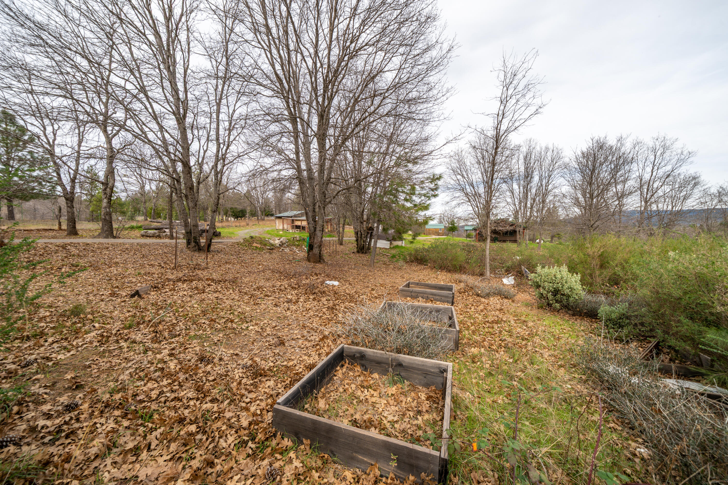 main property photo 56