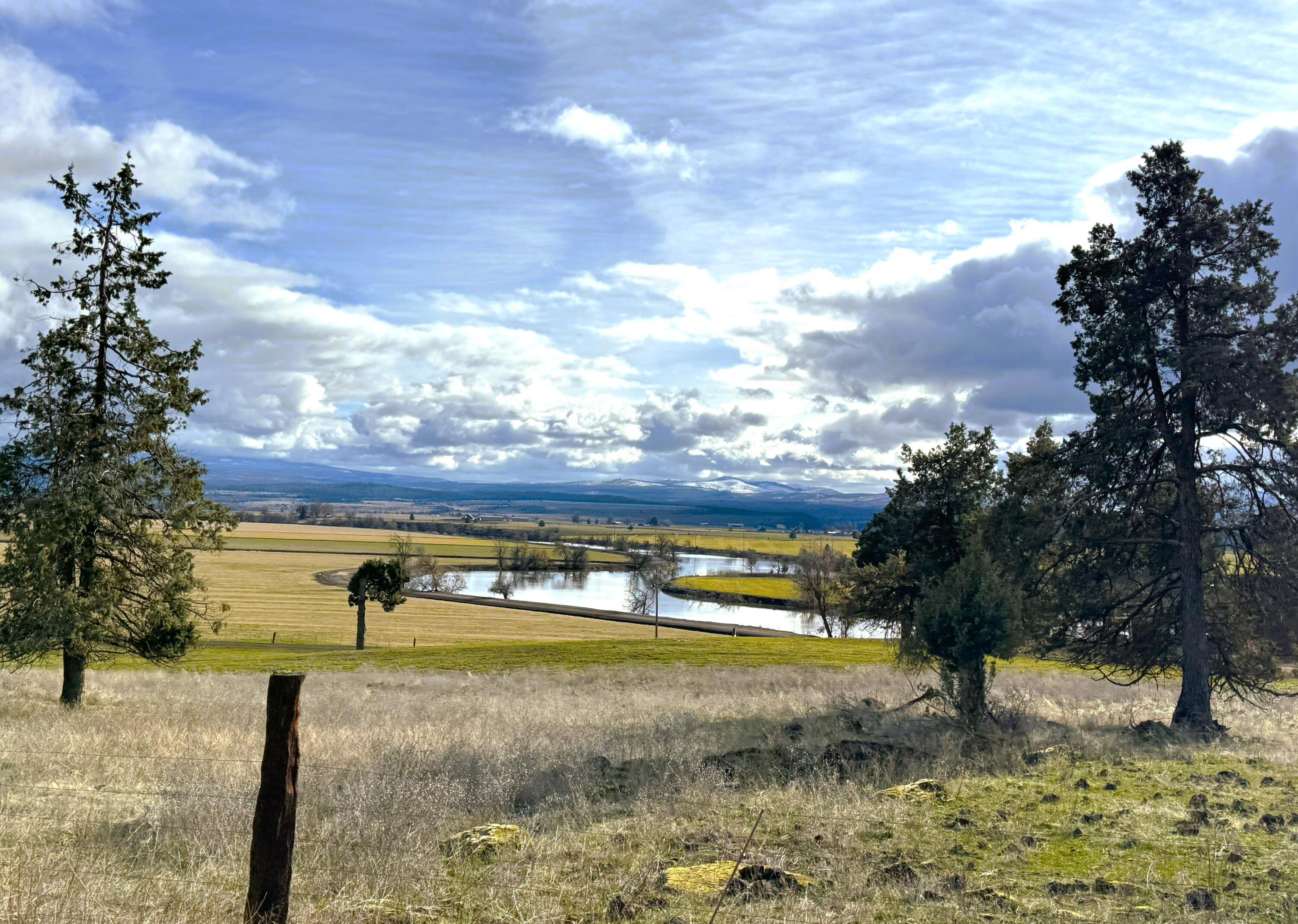 main property photo 73