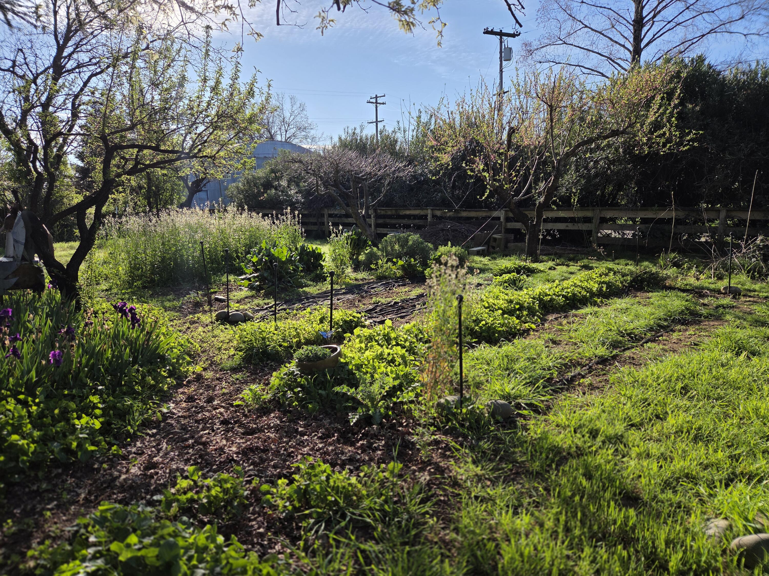 main property photo 15