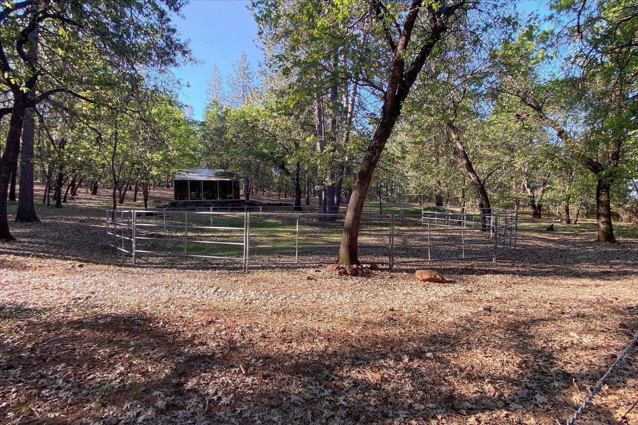 main property photo 68