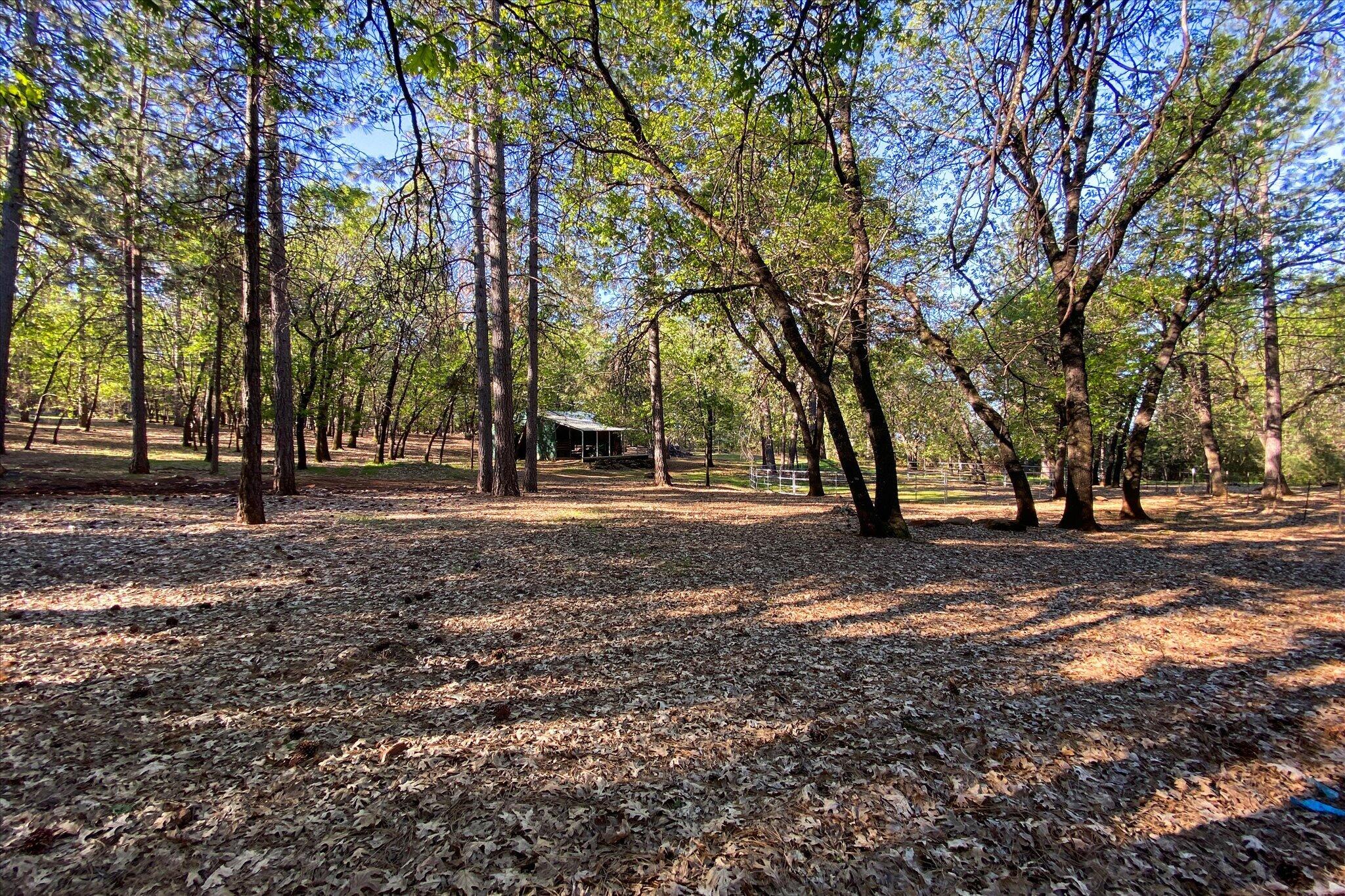 main property photo 73
