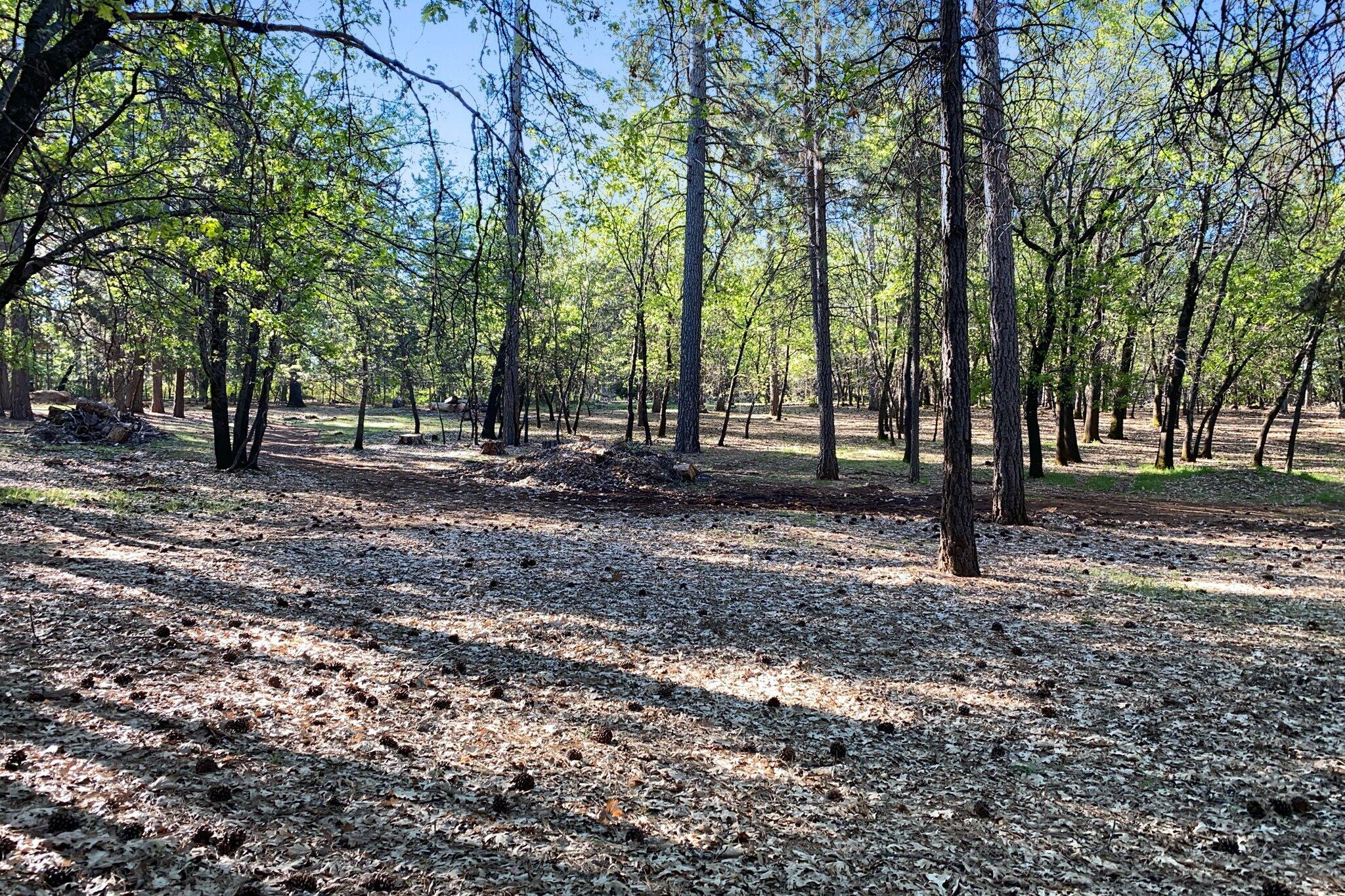 main property photo 76