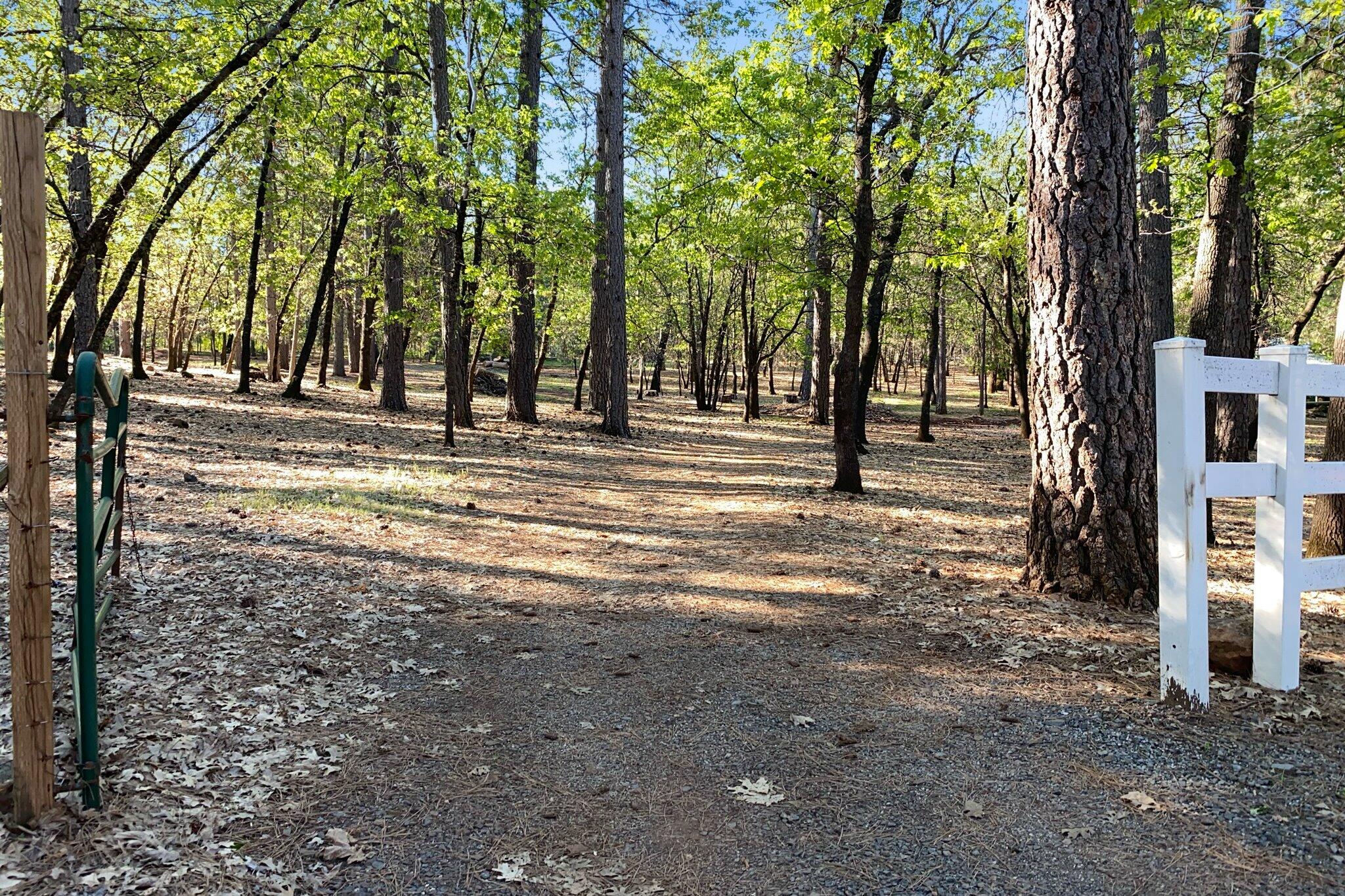 main property photo 77
