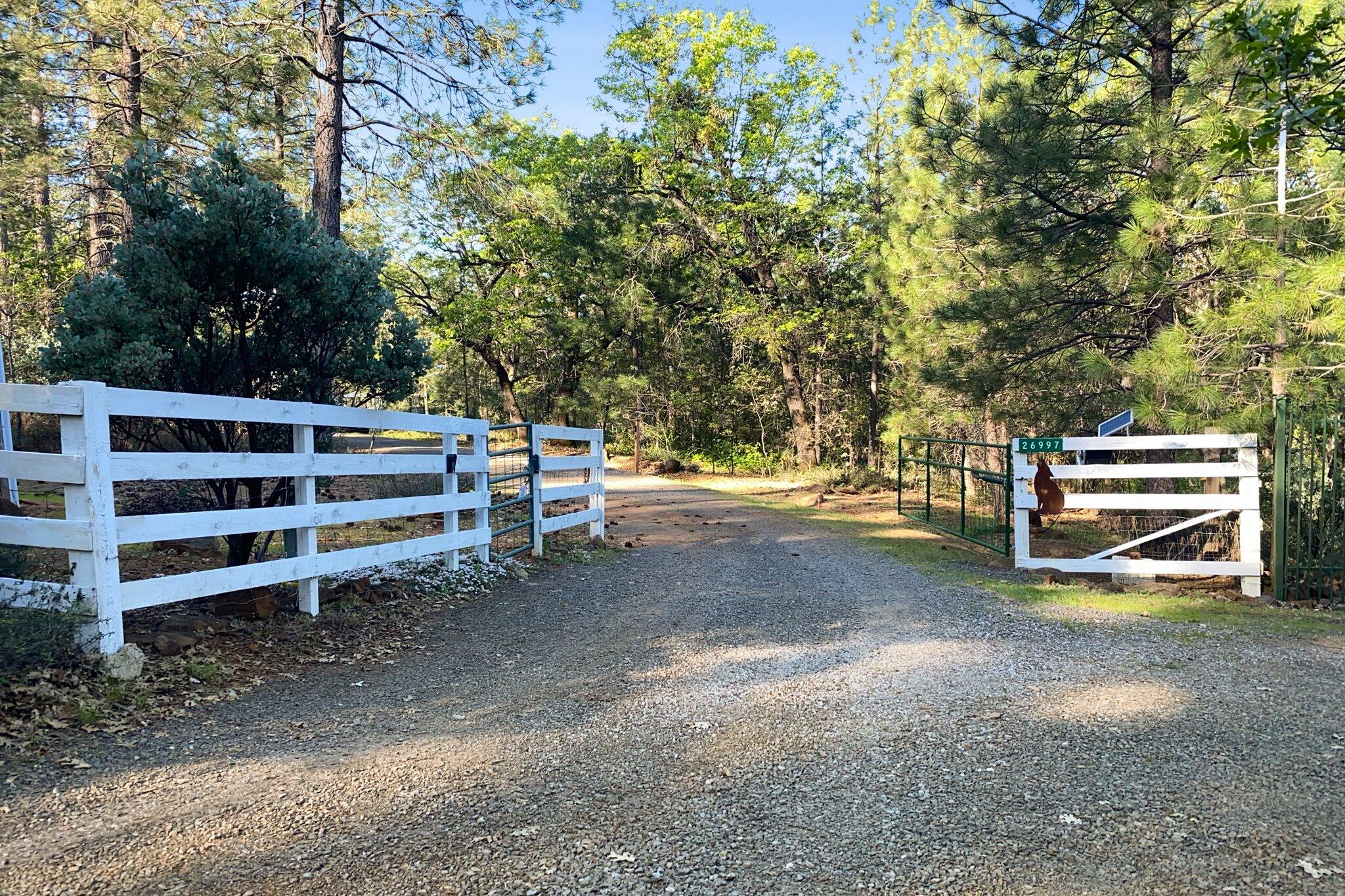 main property photo 78