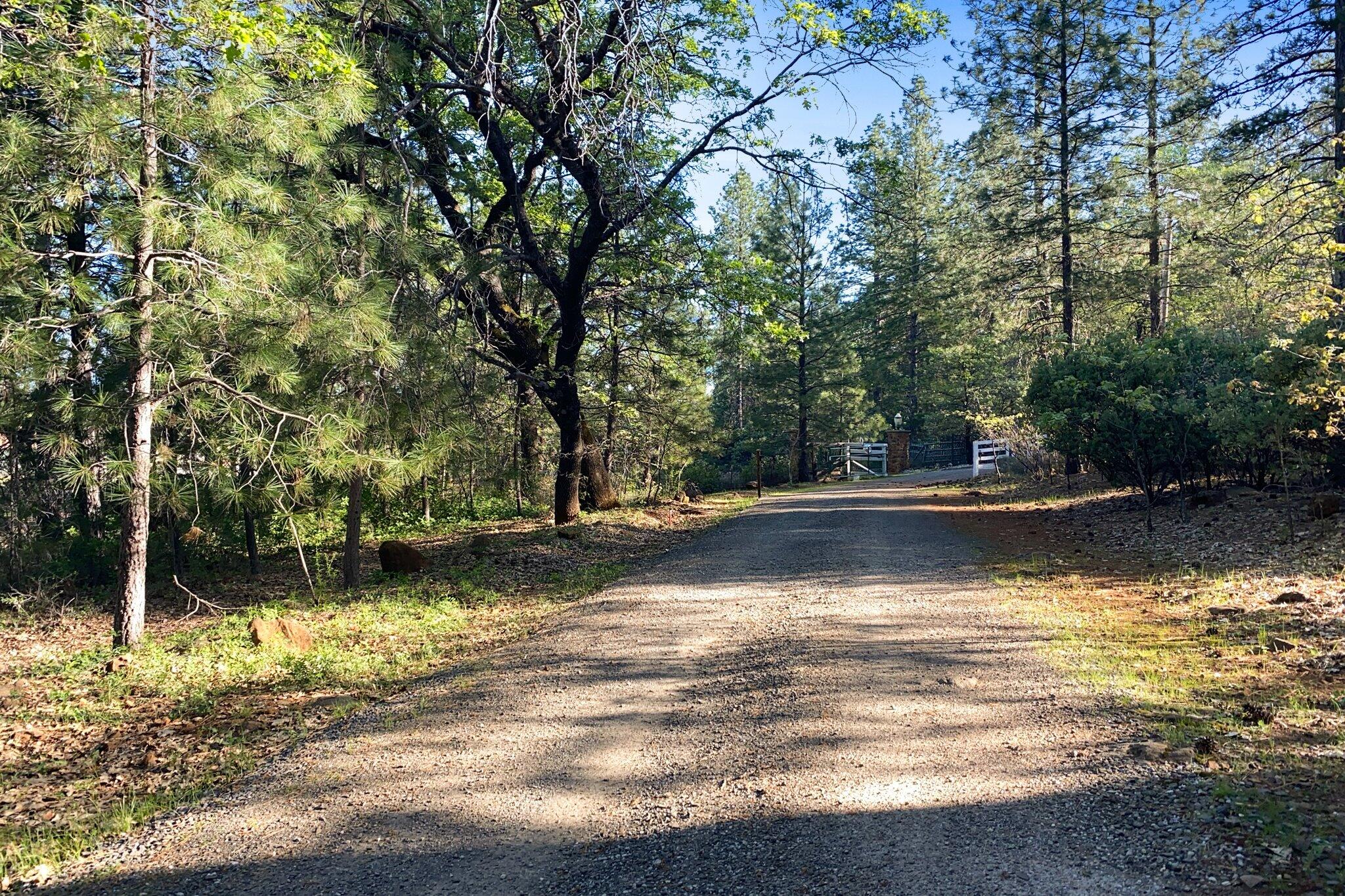 main property photo 79