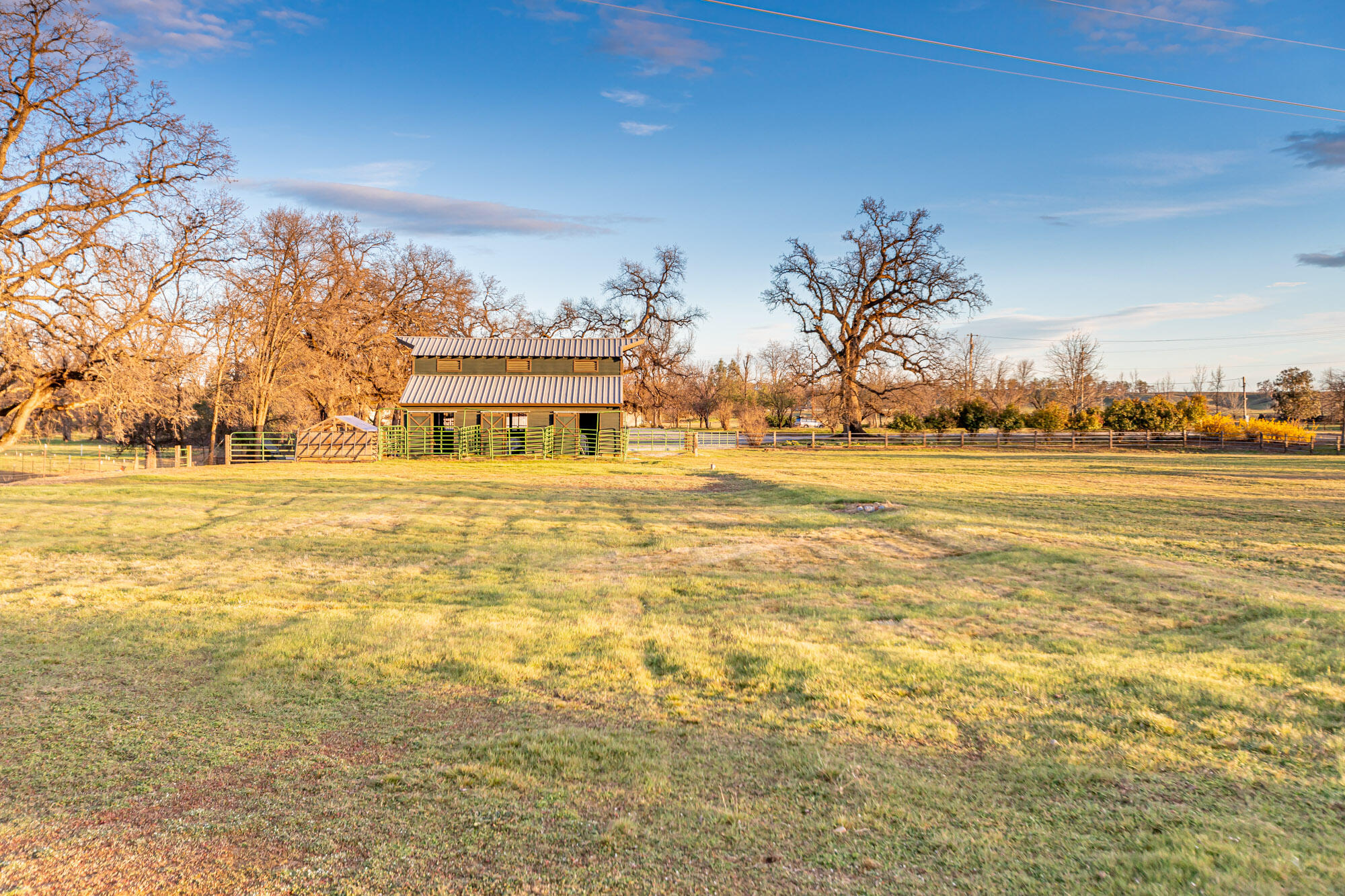 main property photo 54