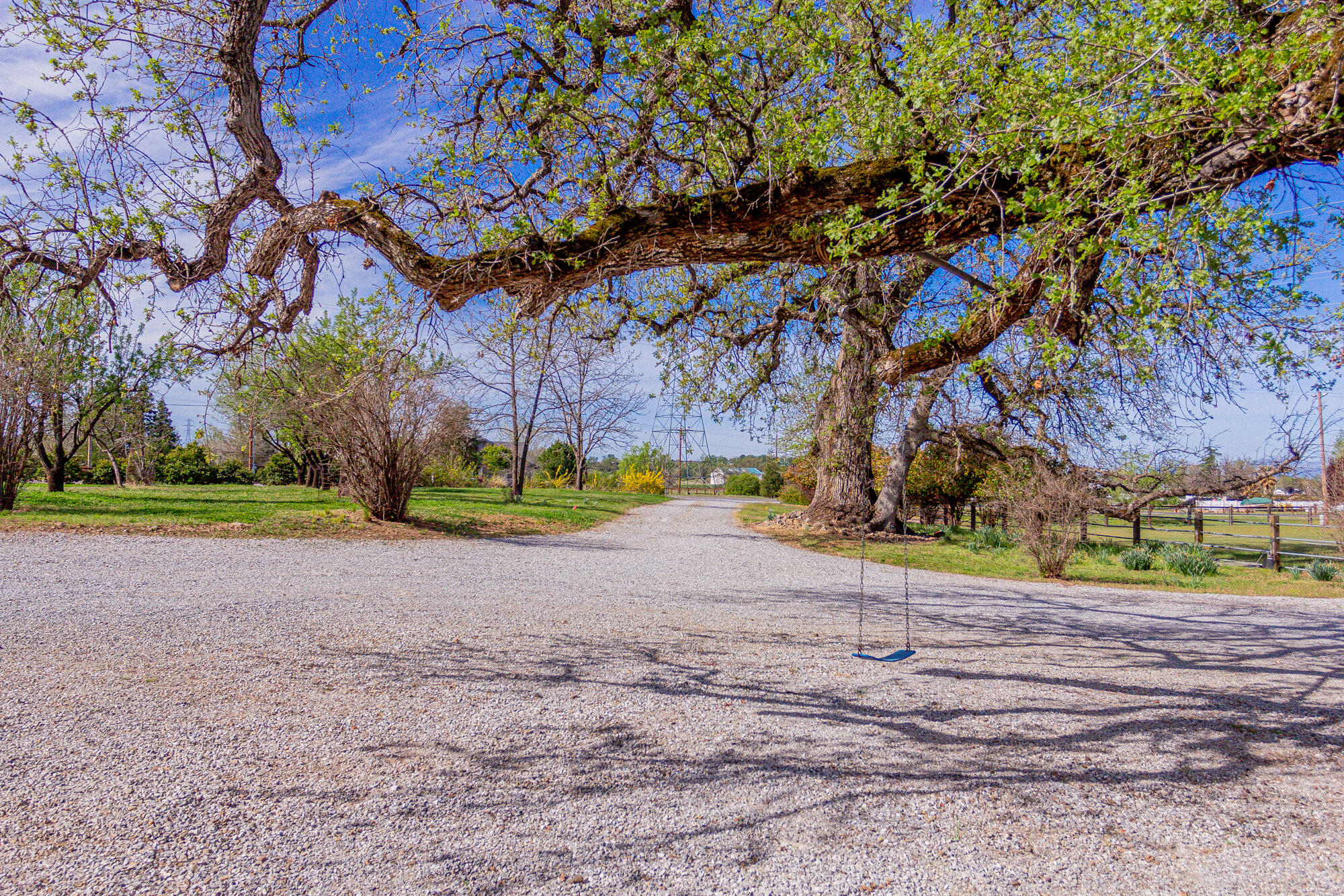 main property photo 61