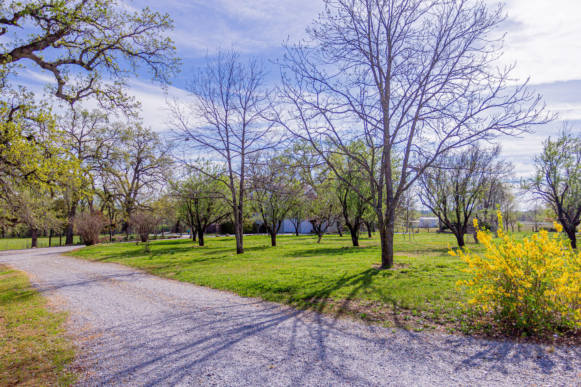 main property photo 62
