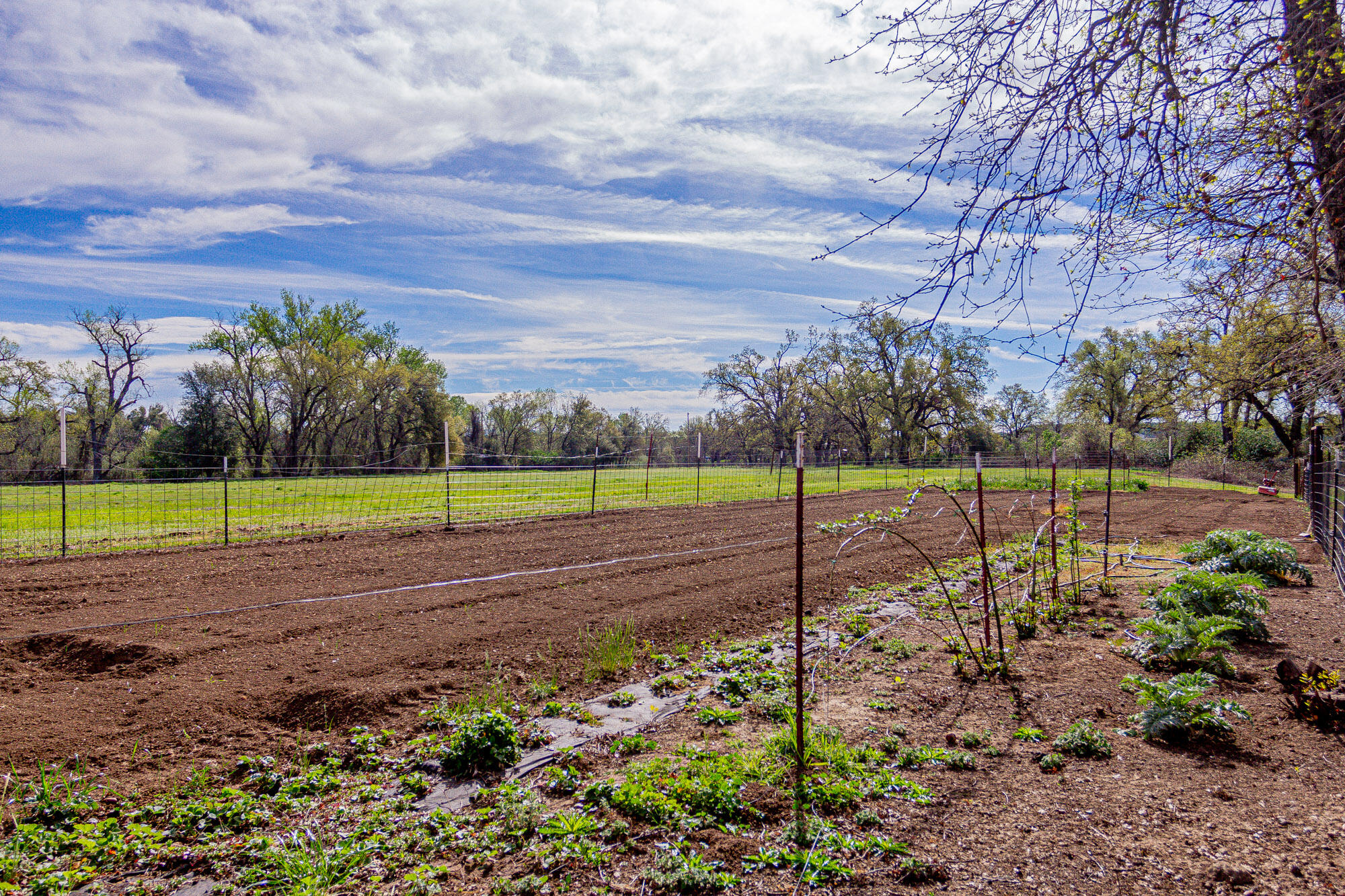 main property photo 63