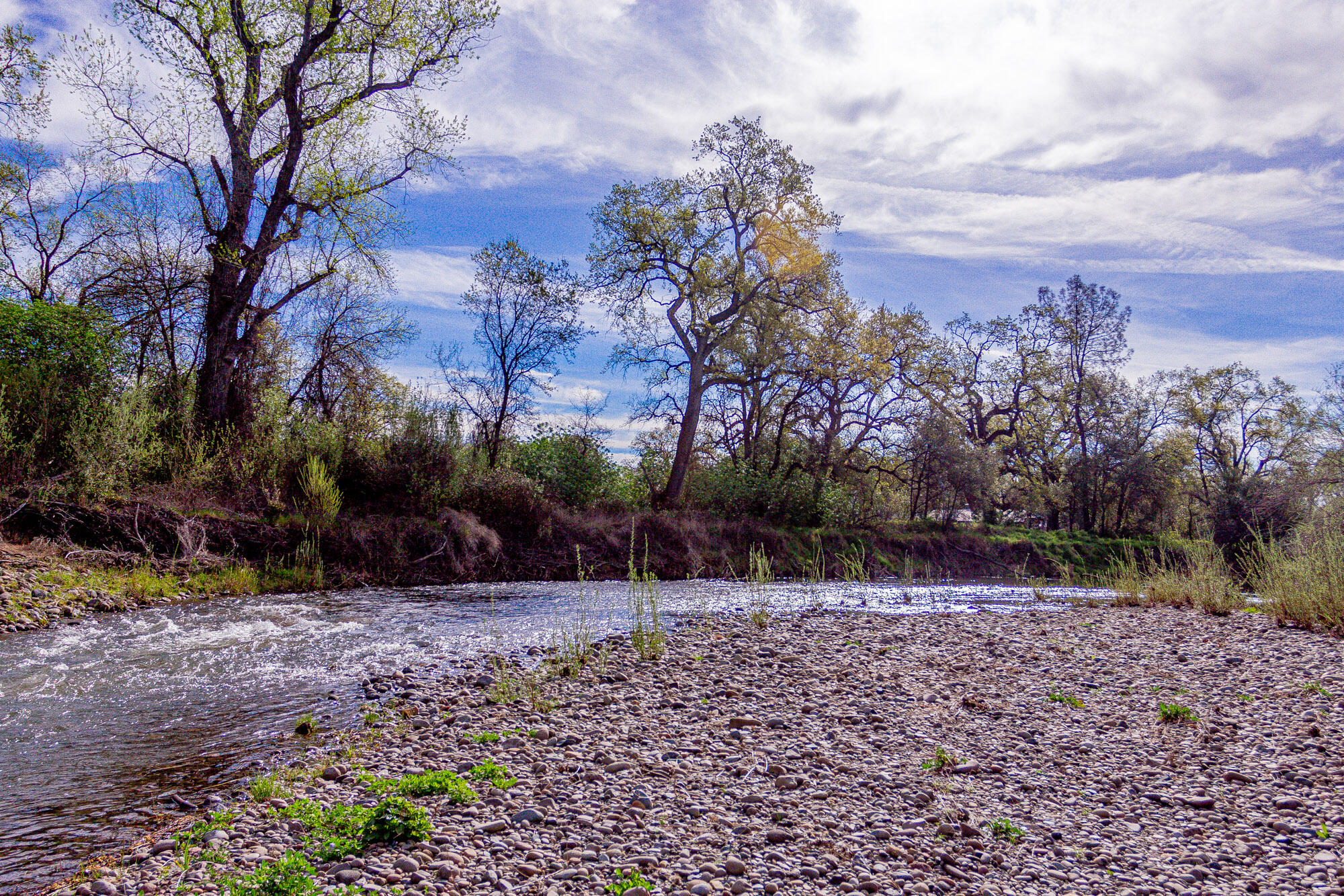 main property photo 67