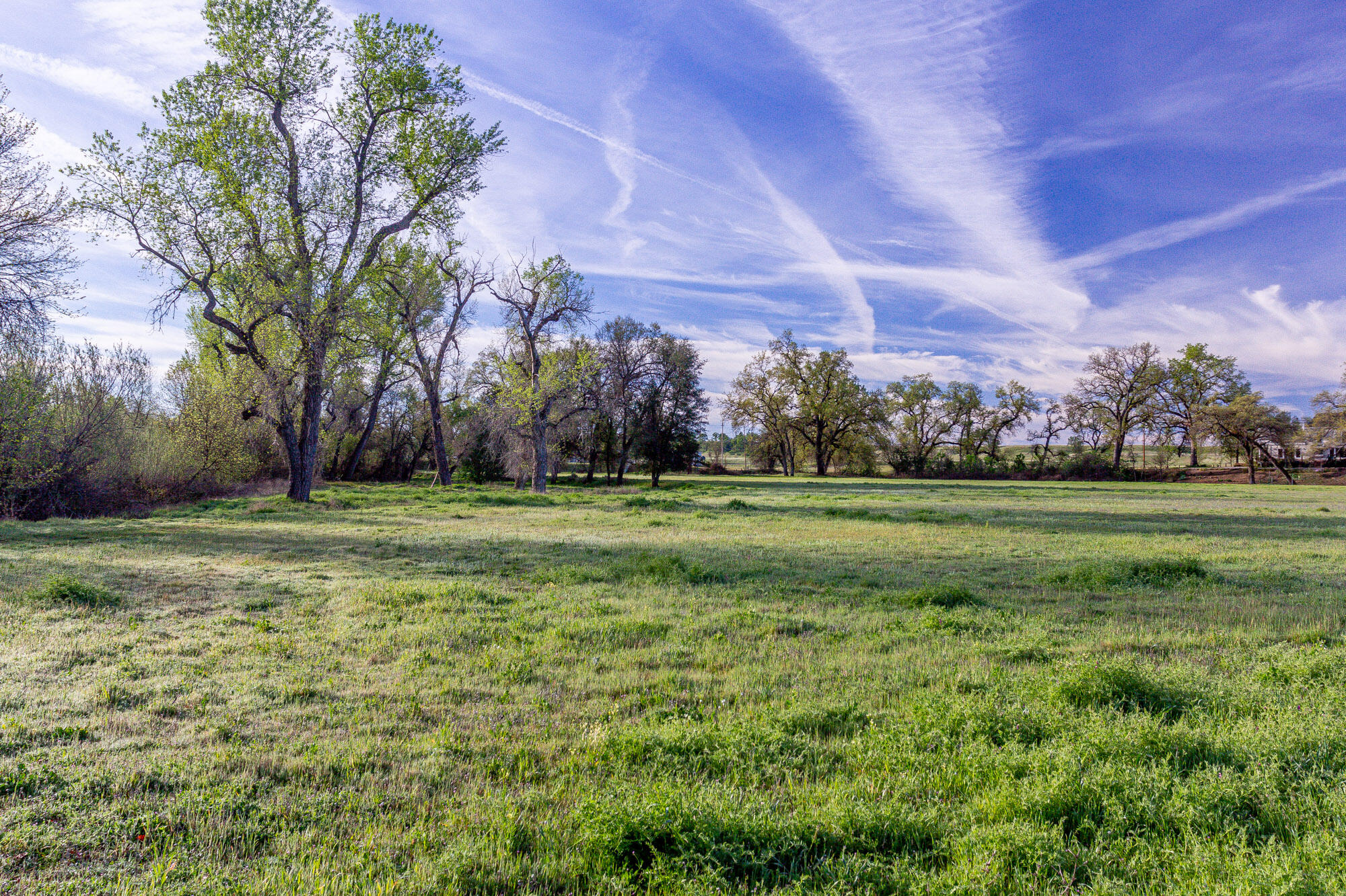 main property photo 69