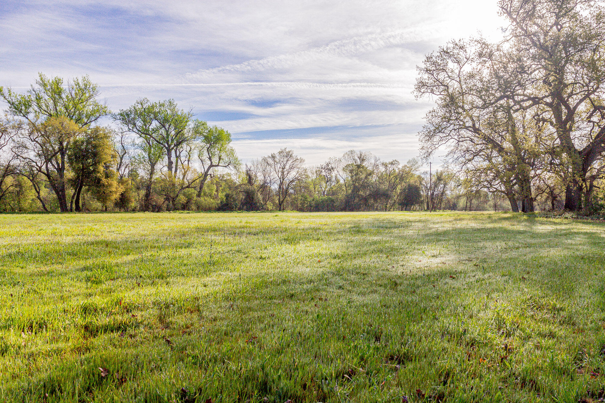 main property photo 73