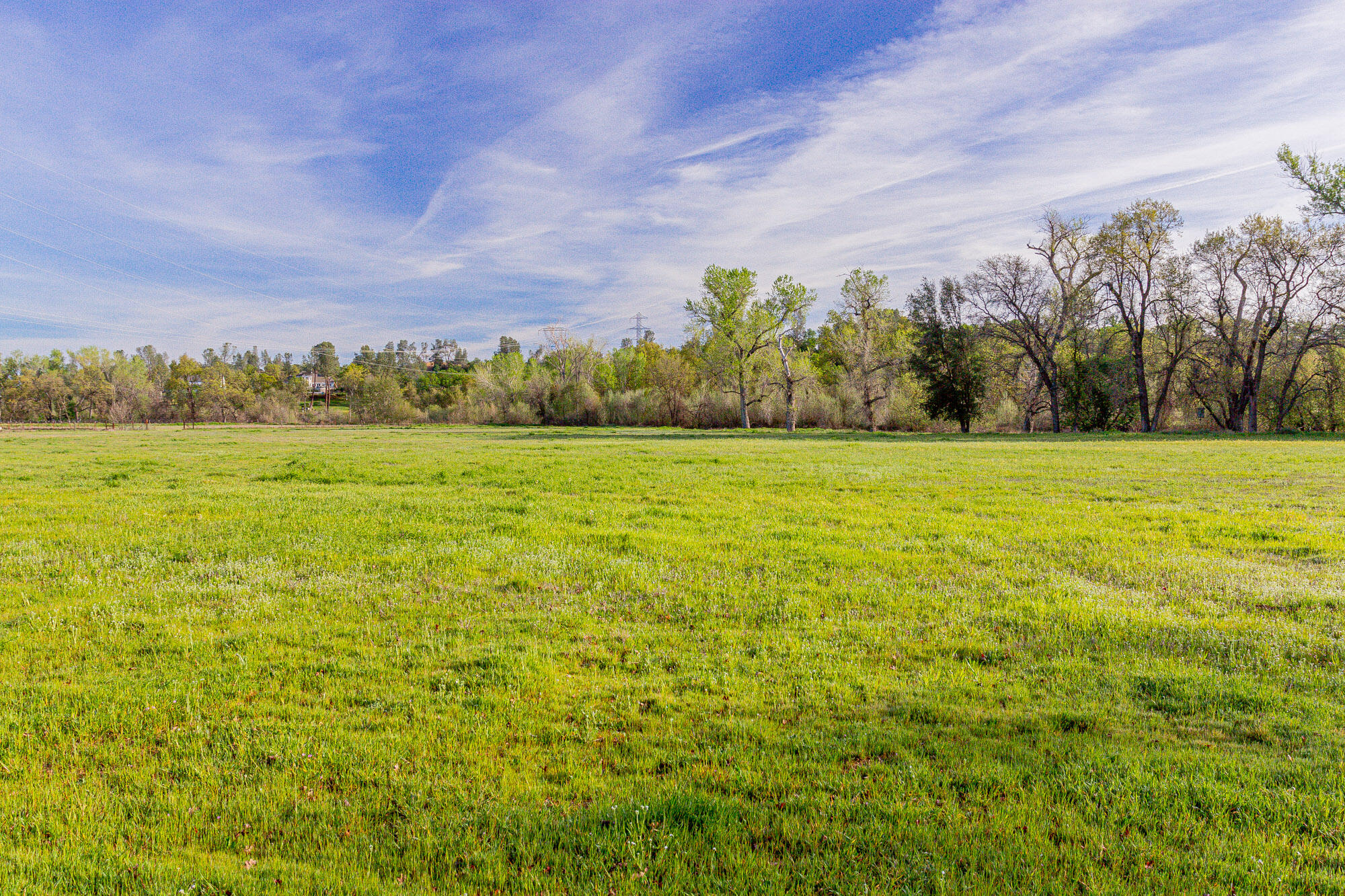 main property photo 74
