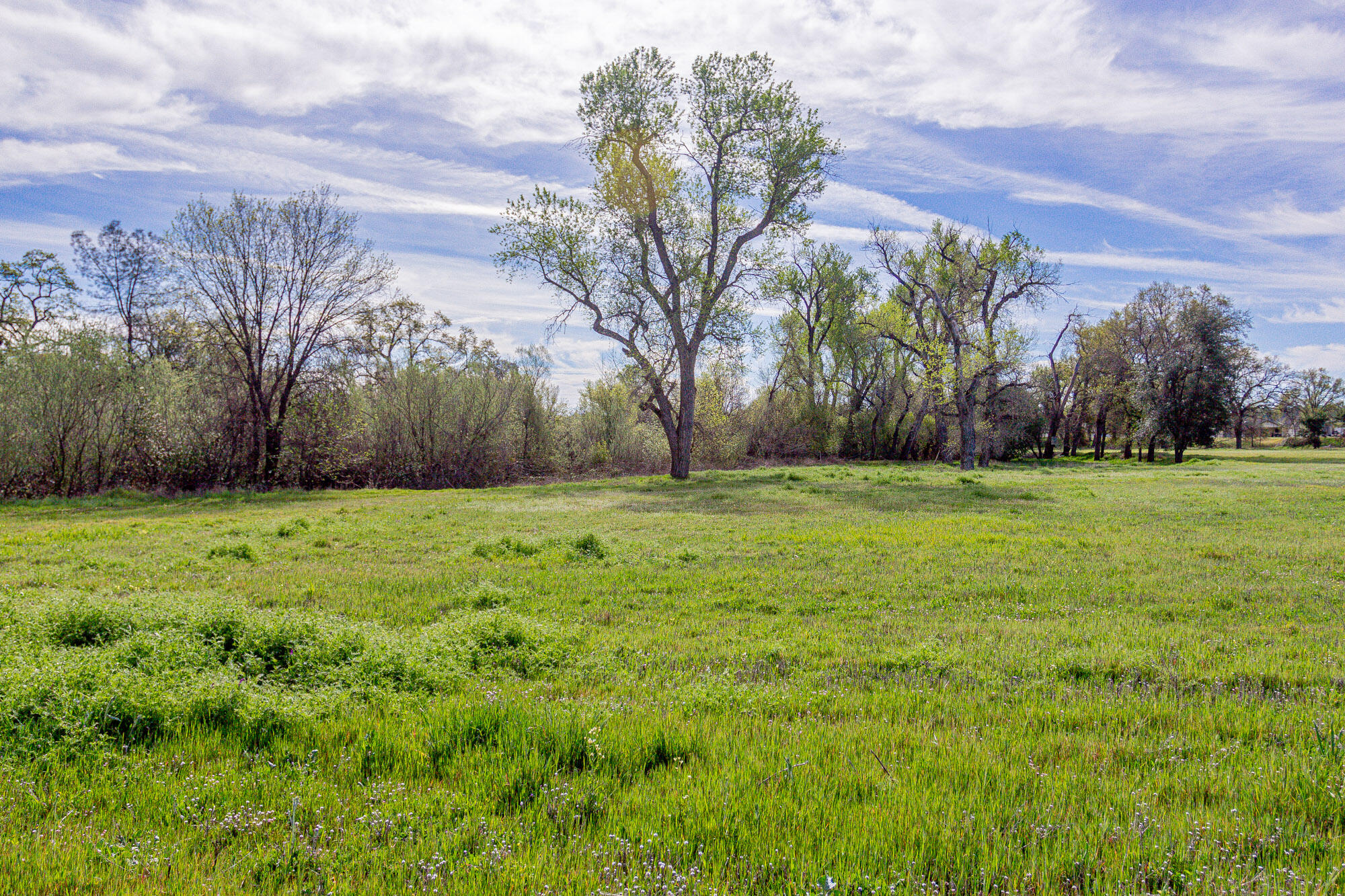 main property photo 77
