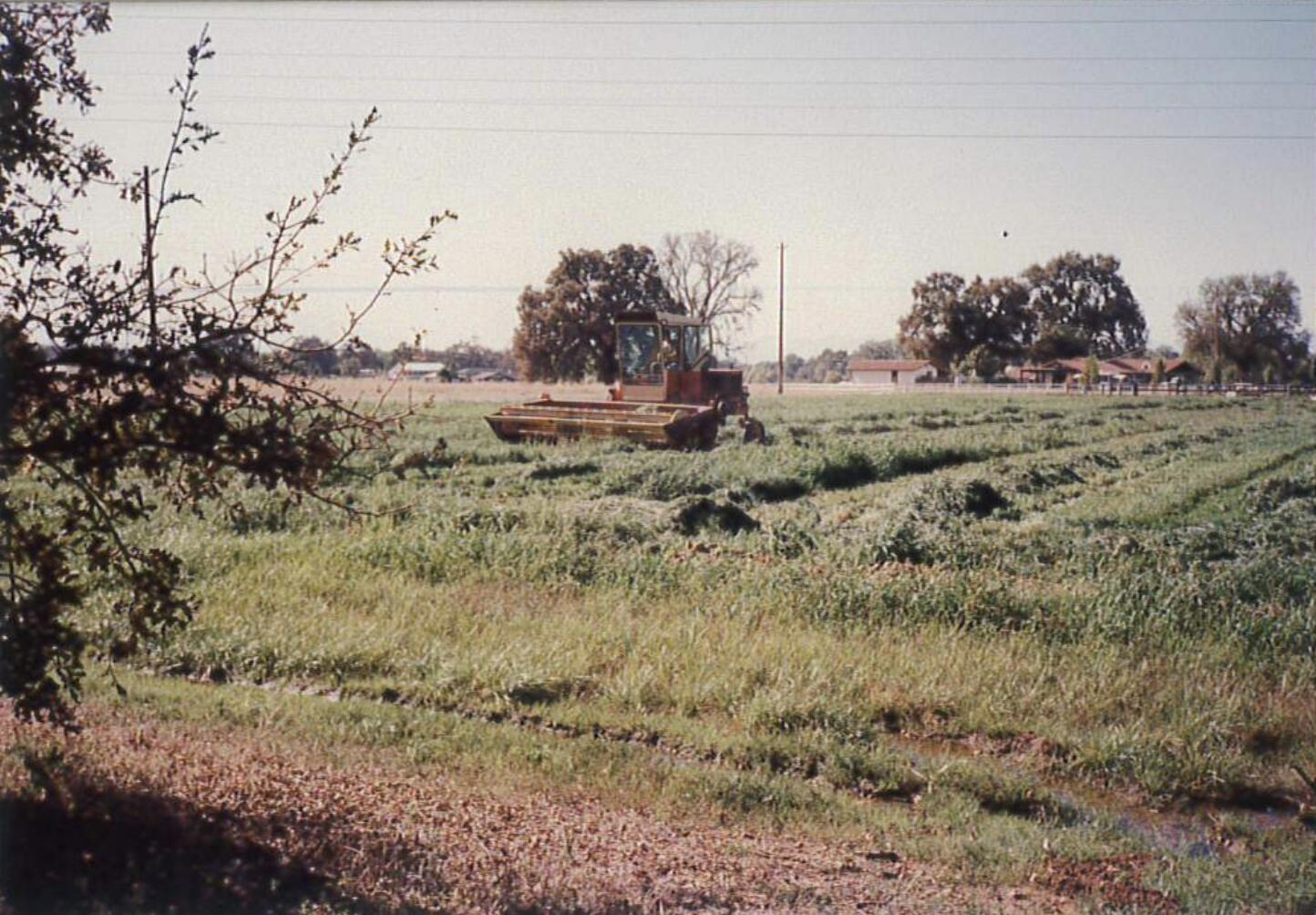 main property photo 89