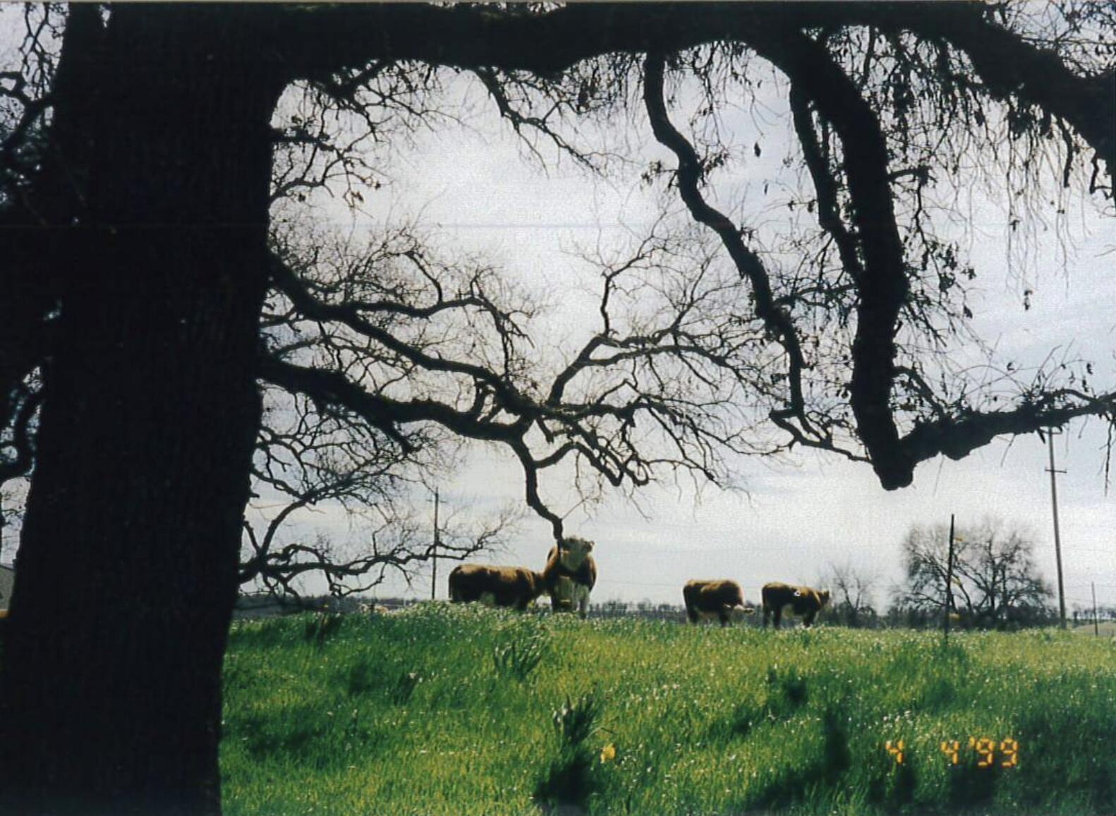 main property photo 93