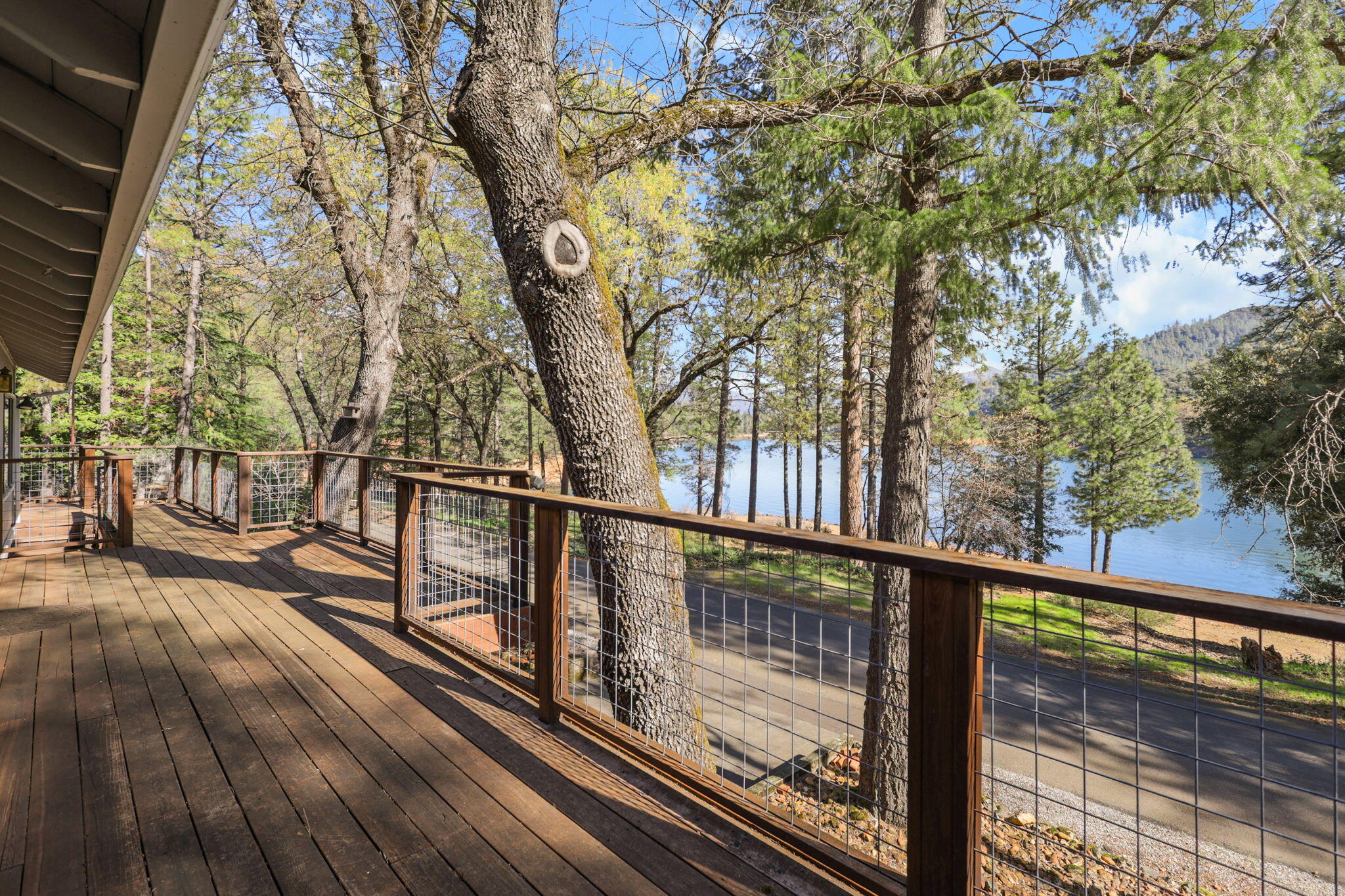 main property photo 54