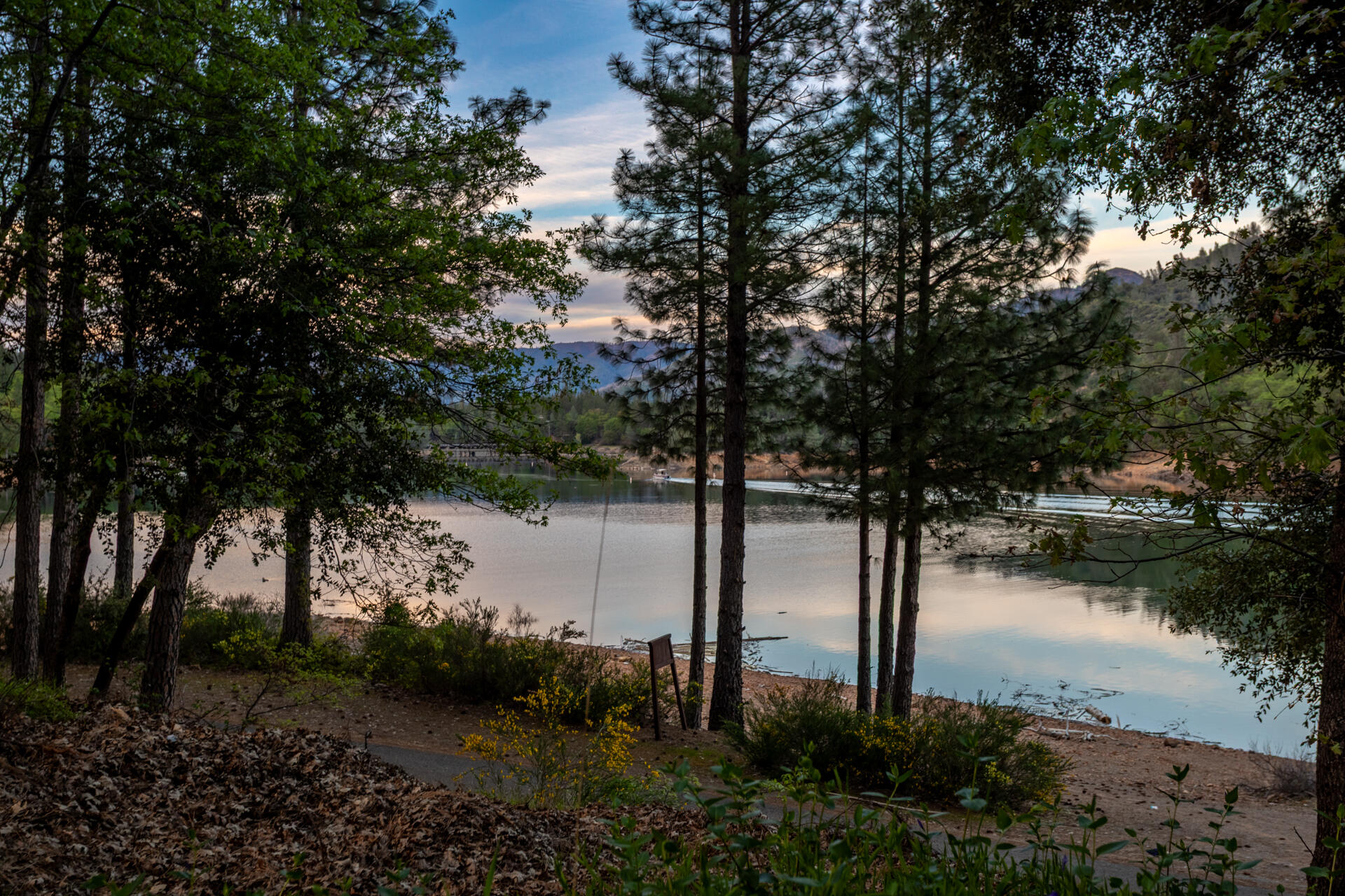 main property photo 62