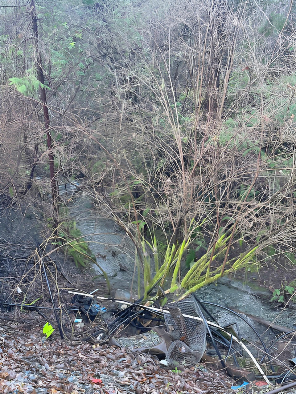 main property photo 20