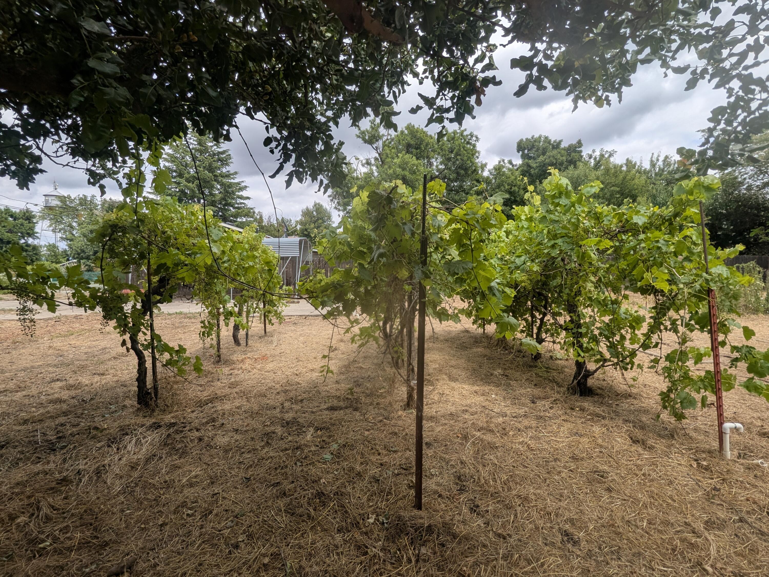 main property photo 34
