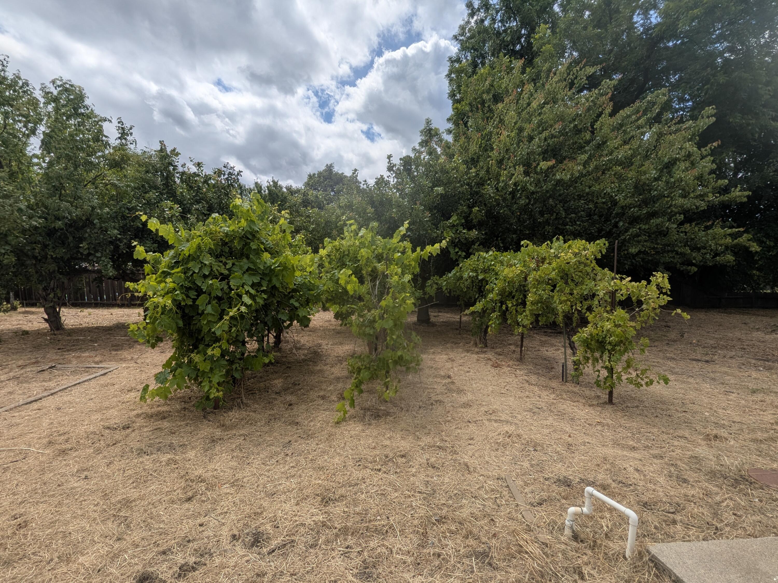 main property photo 35