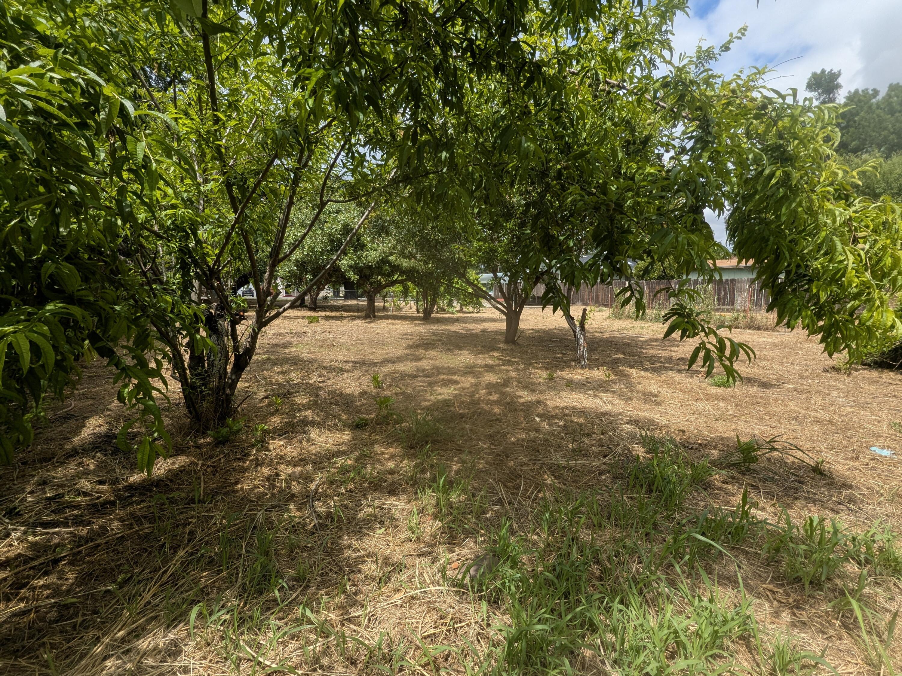 main property photo 36