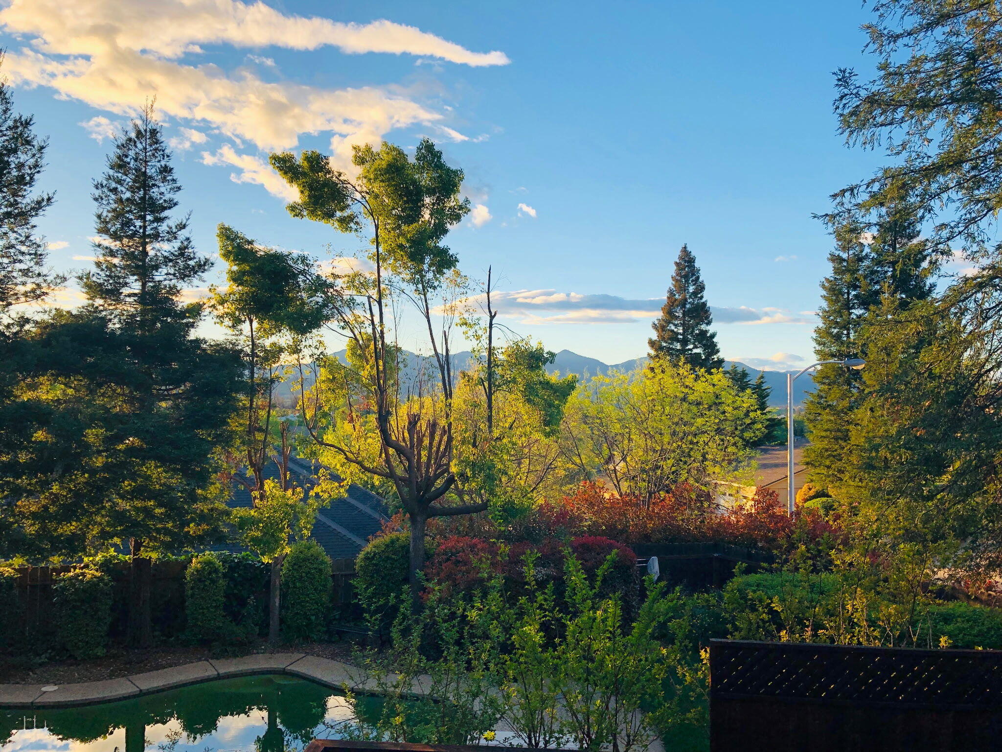 main property photo 54