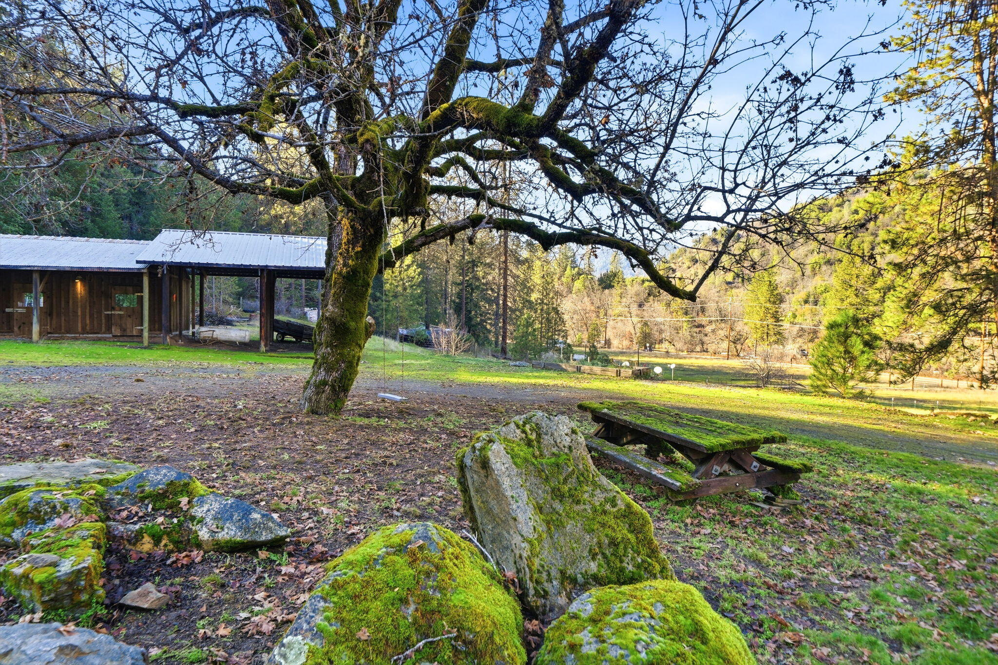 main property photo 49