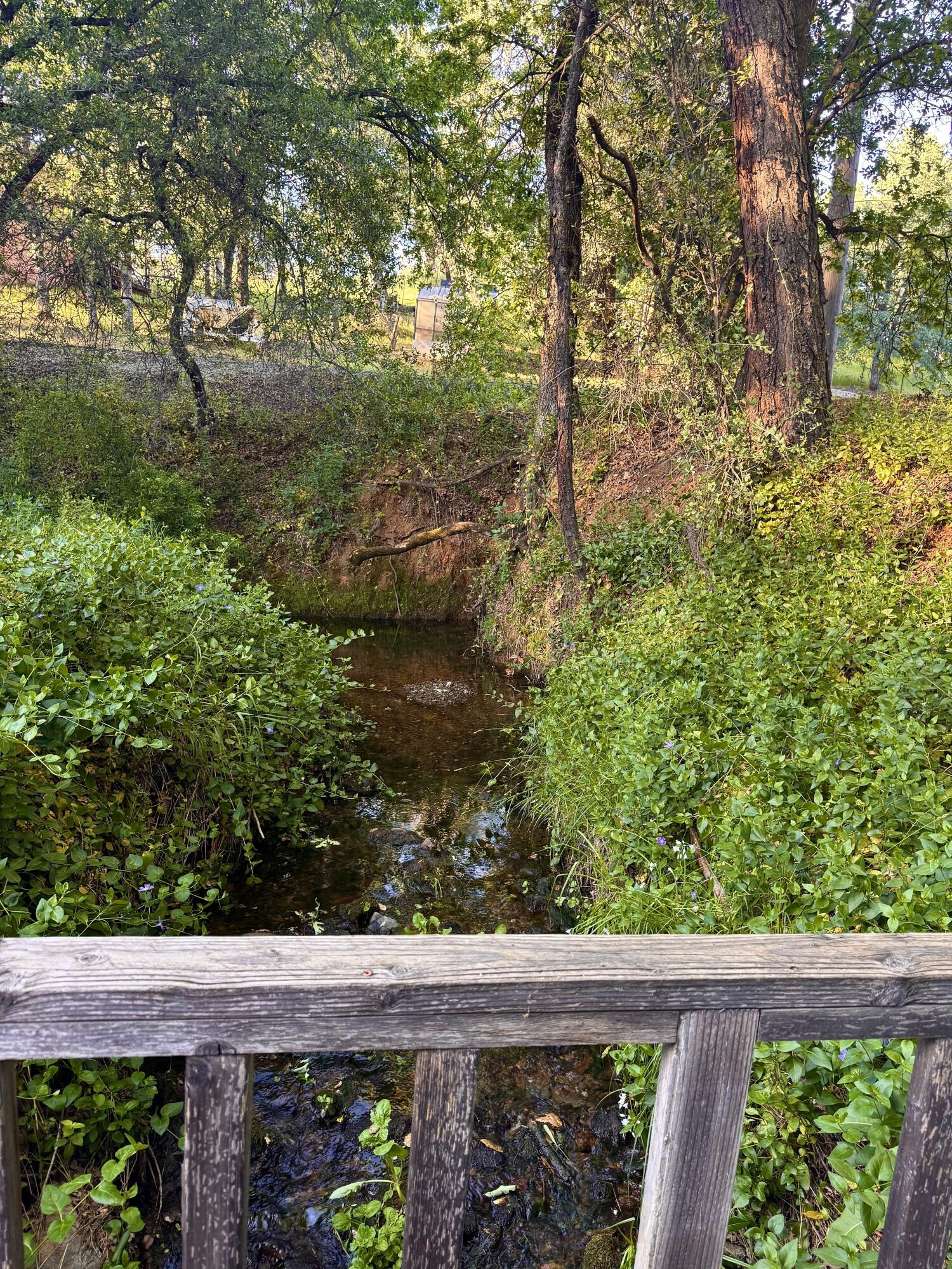main property photo 37