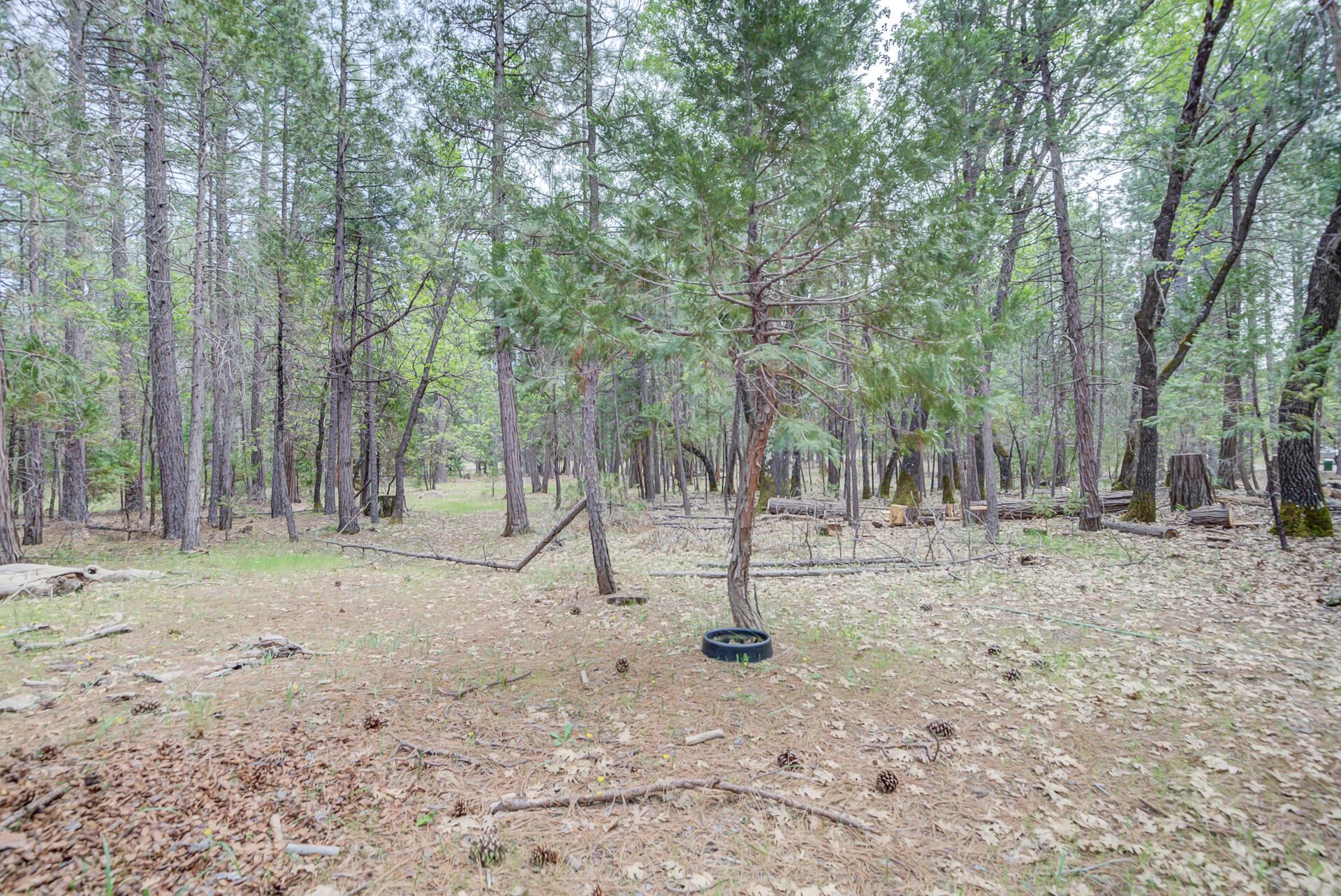 main property photo 47