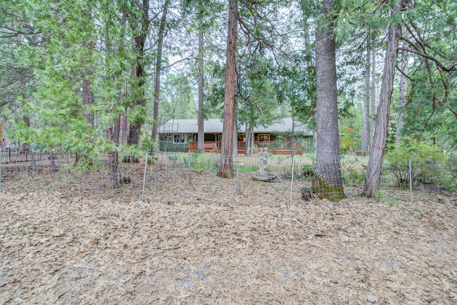 main property photo 51