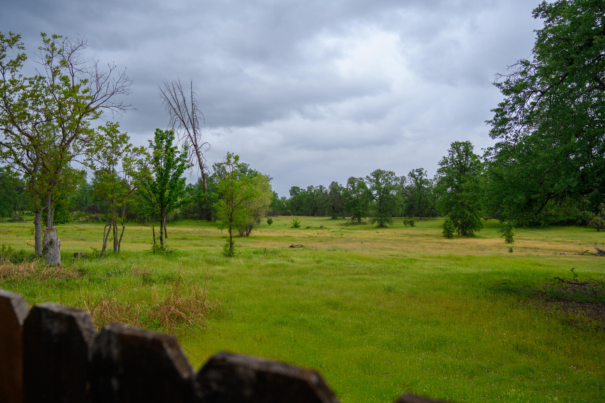 main property photo 38
