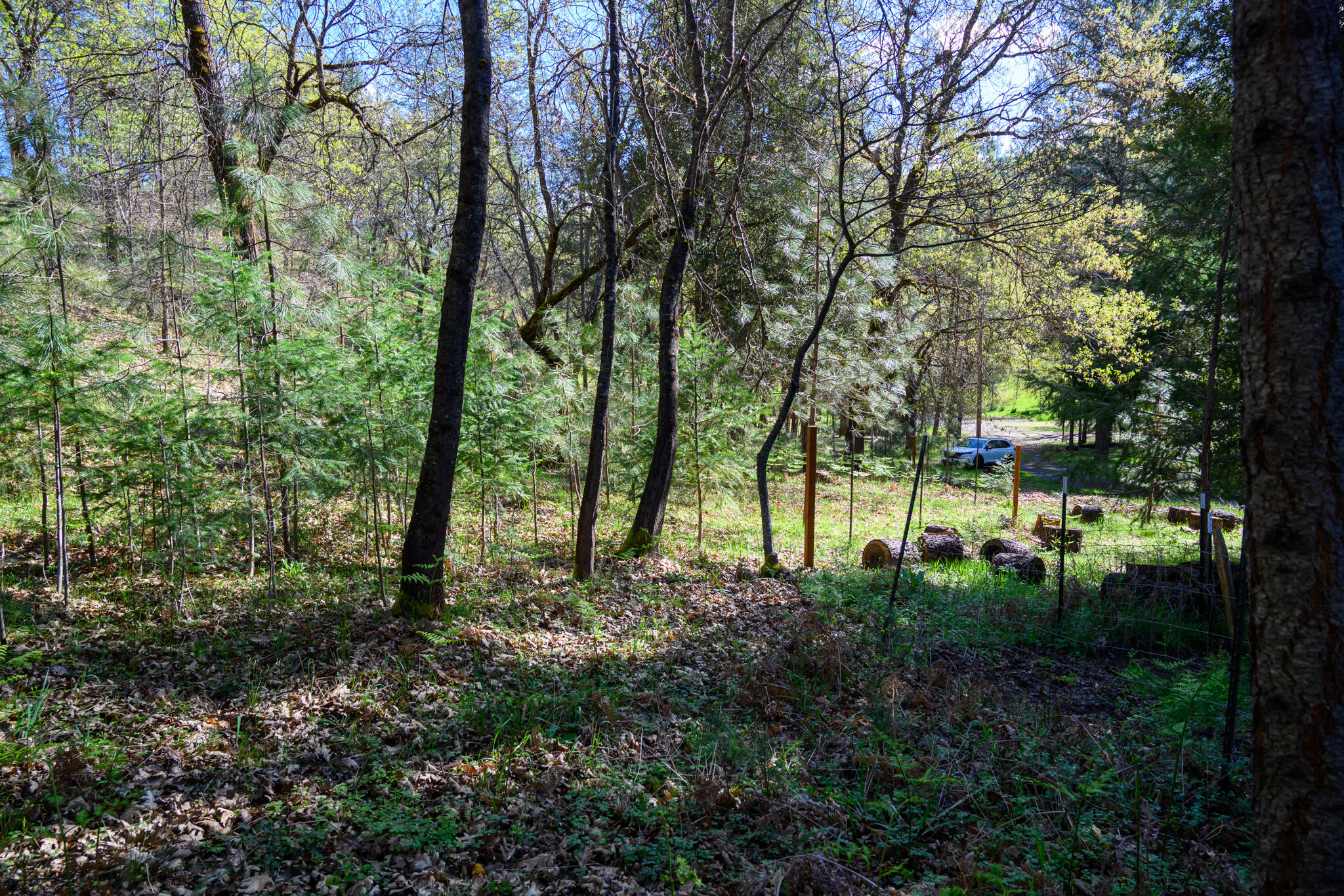 main property photo 0