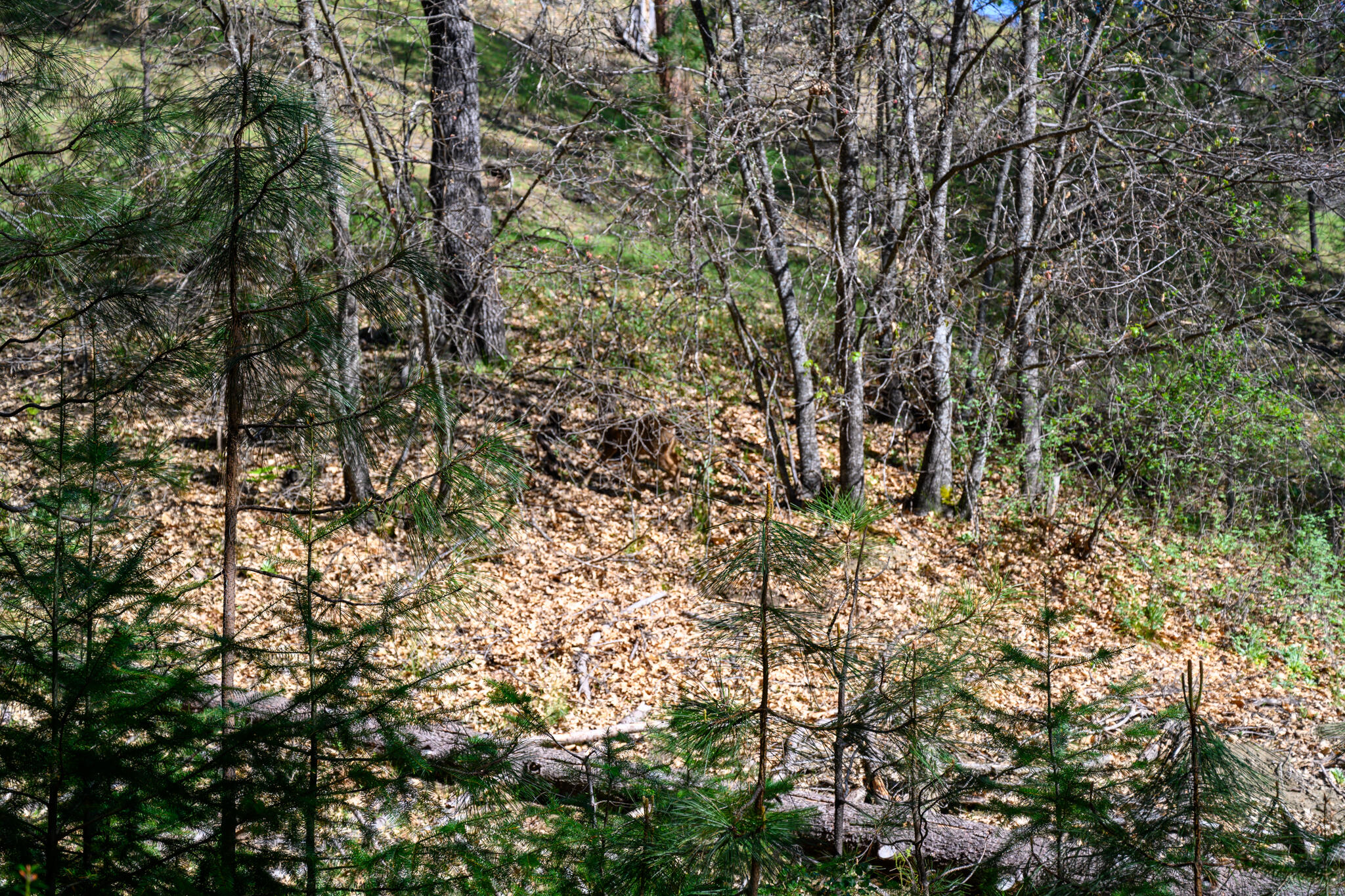 main property photo 11