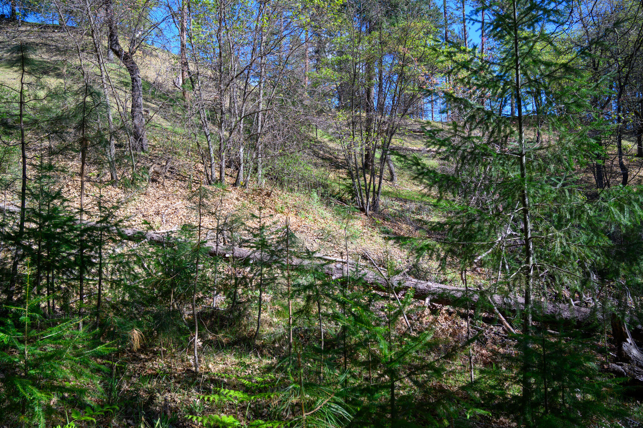 main property photo 13