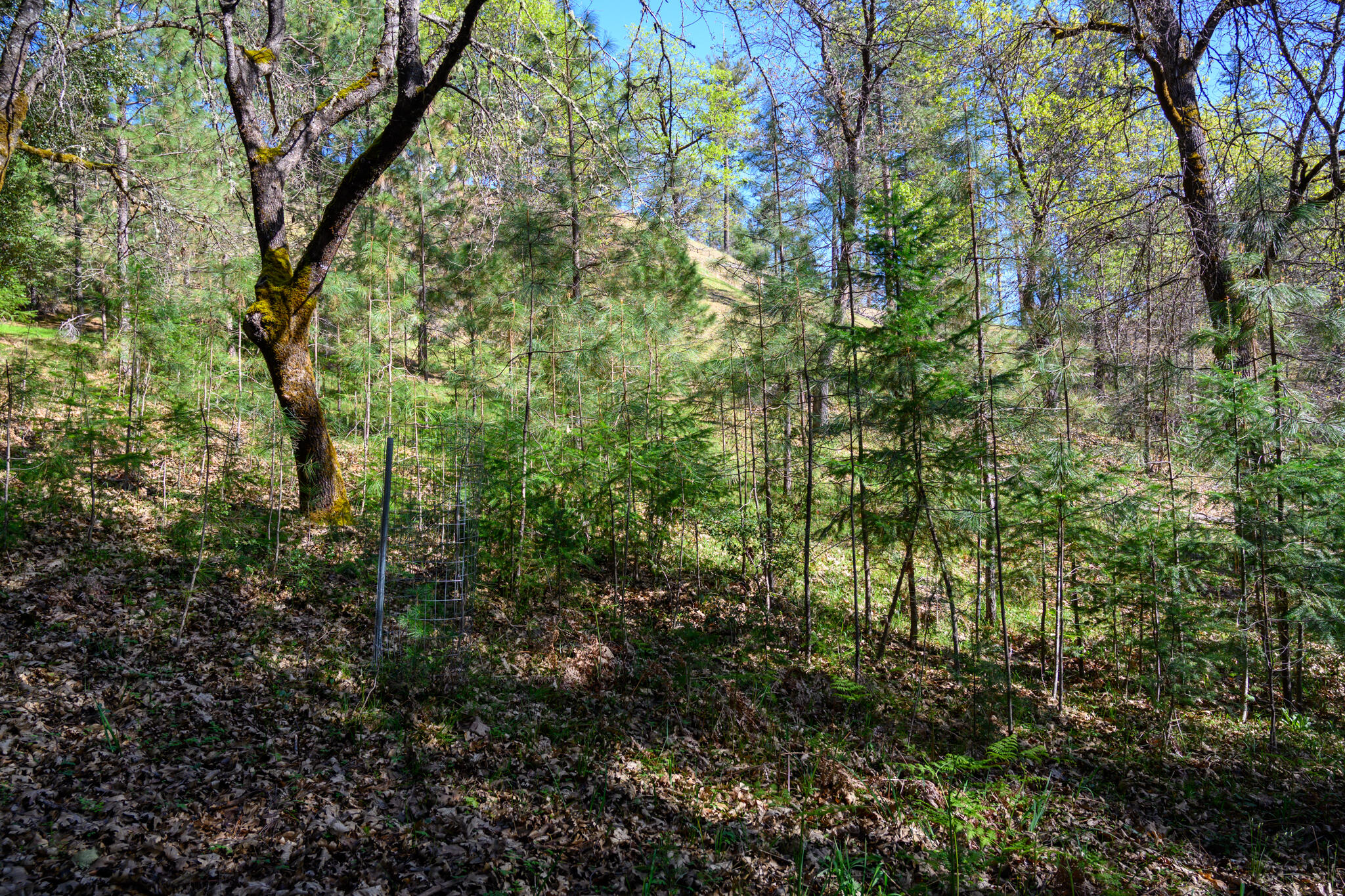 main property photo 8