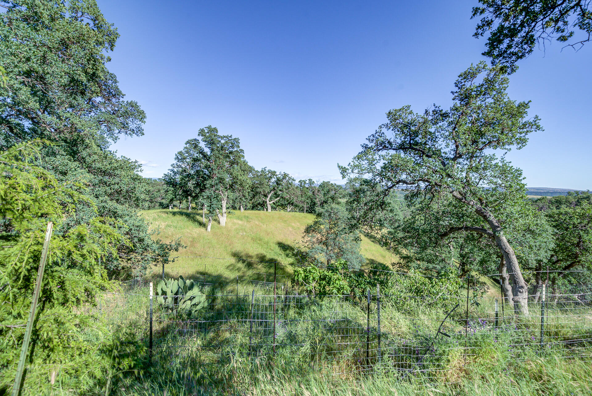 main property photo 64