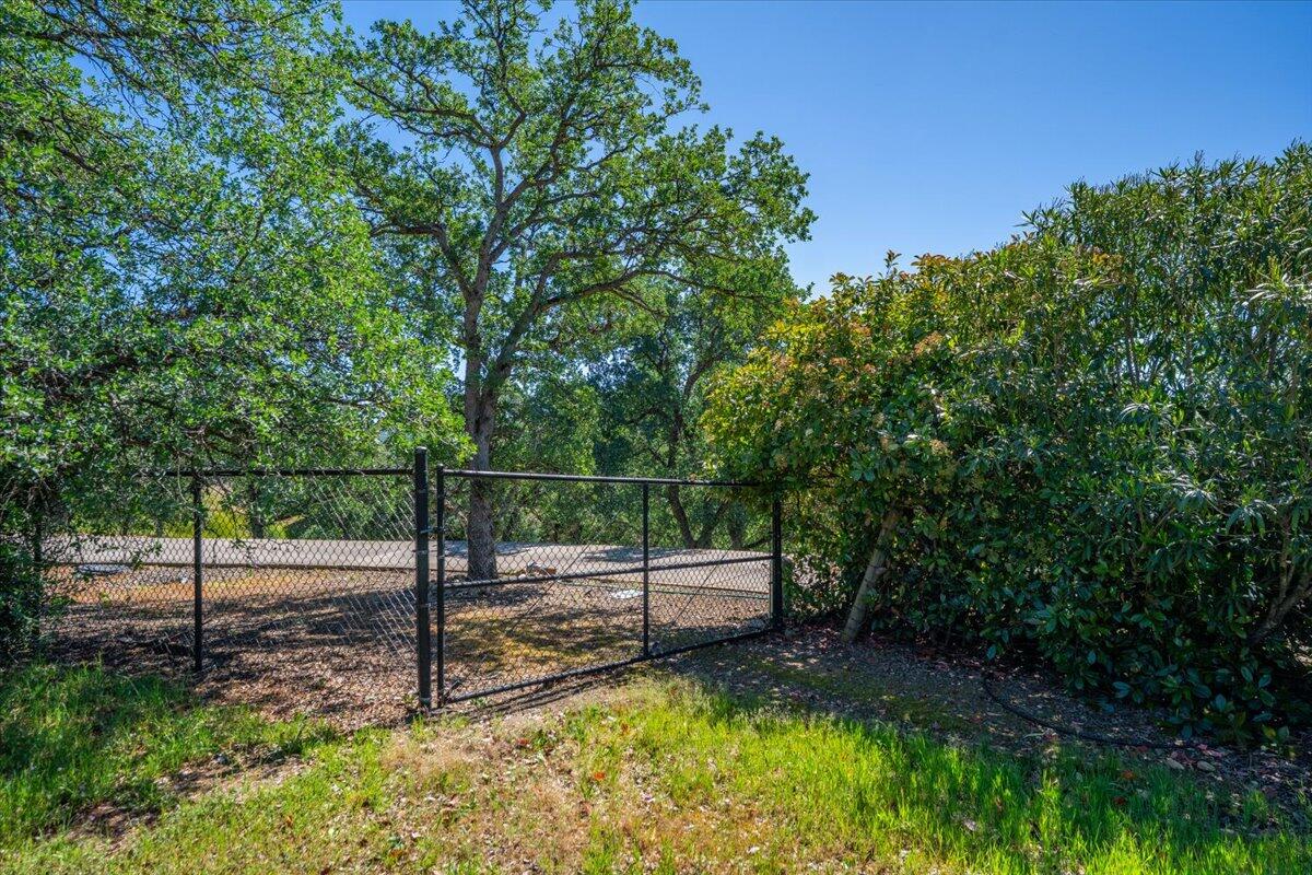 main property photo 50