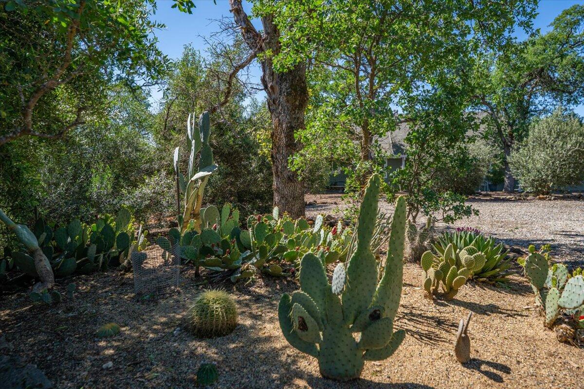 main property photo 56