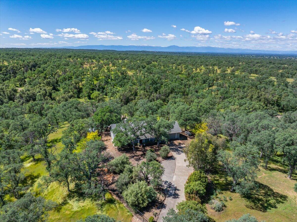 main property photo 58