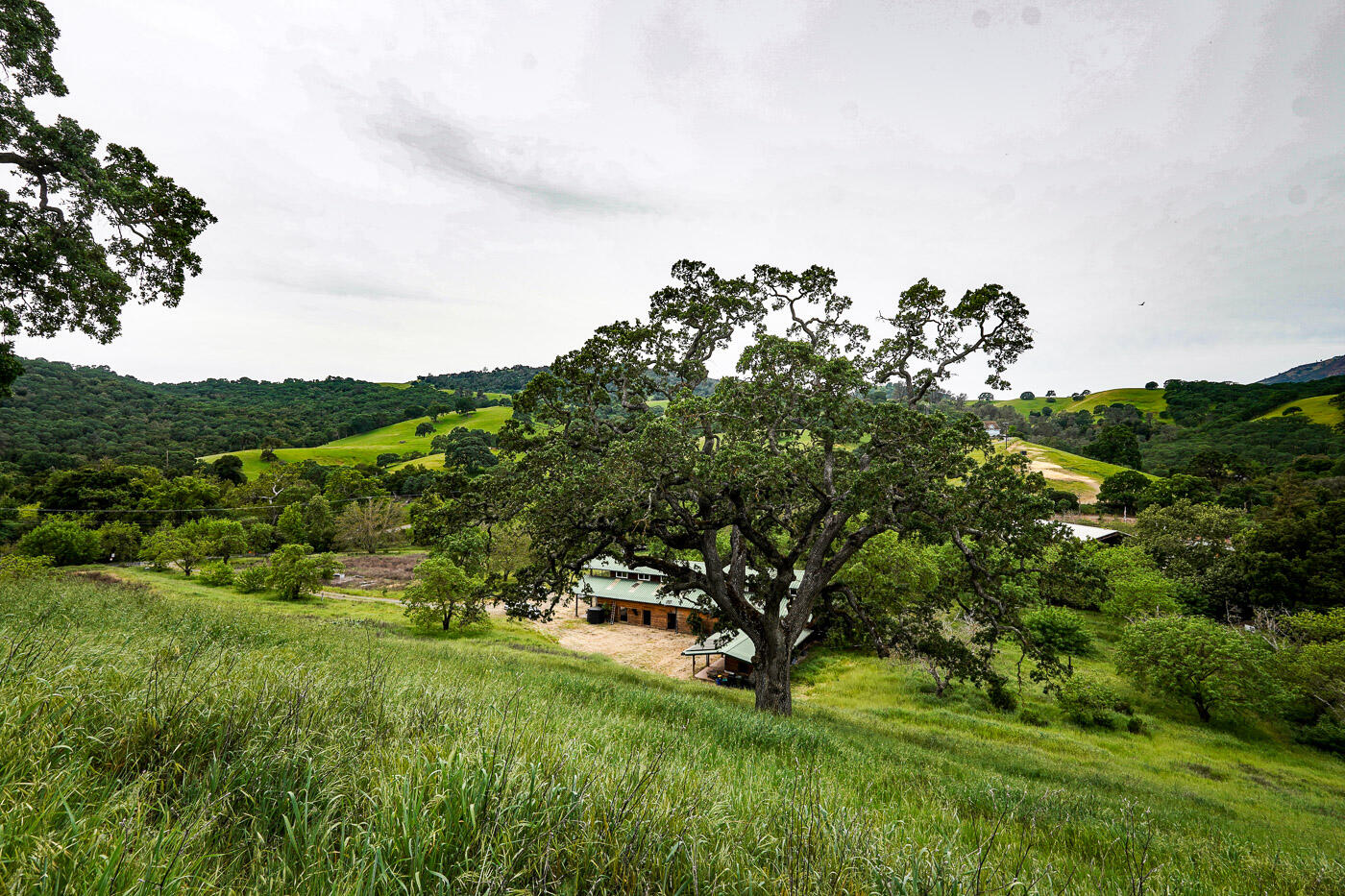 main property photo 42