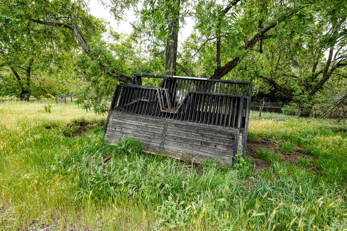 main property photo 47