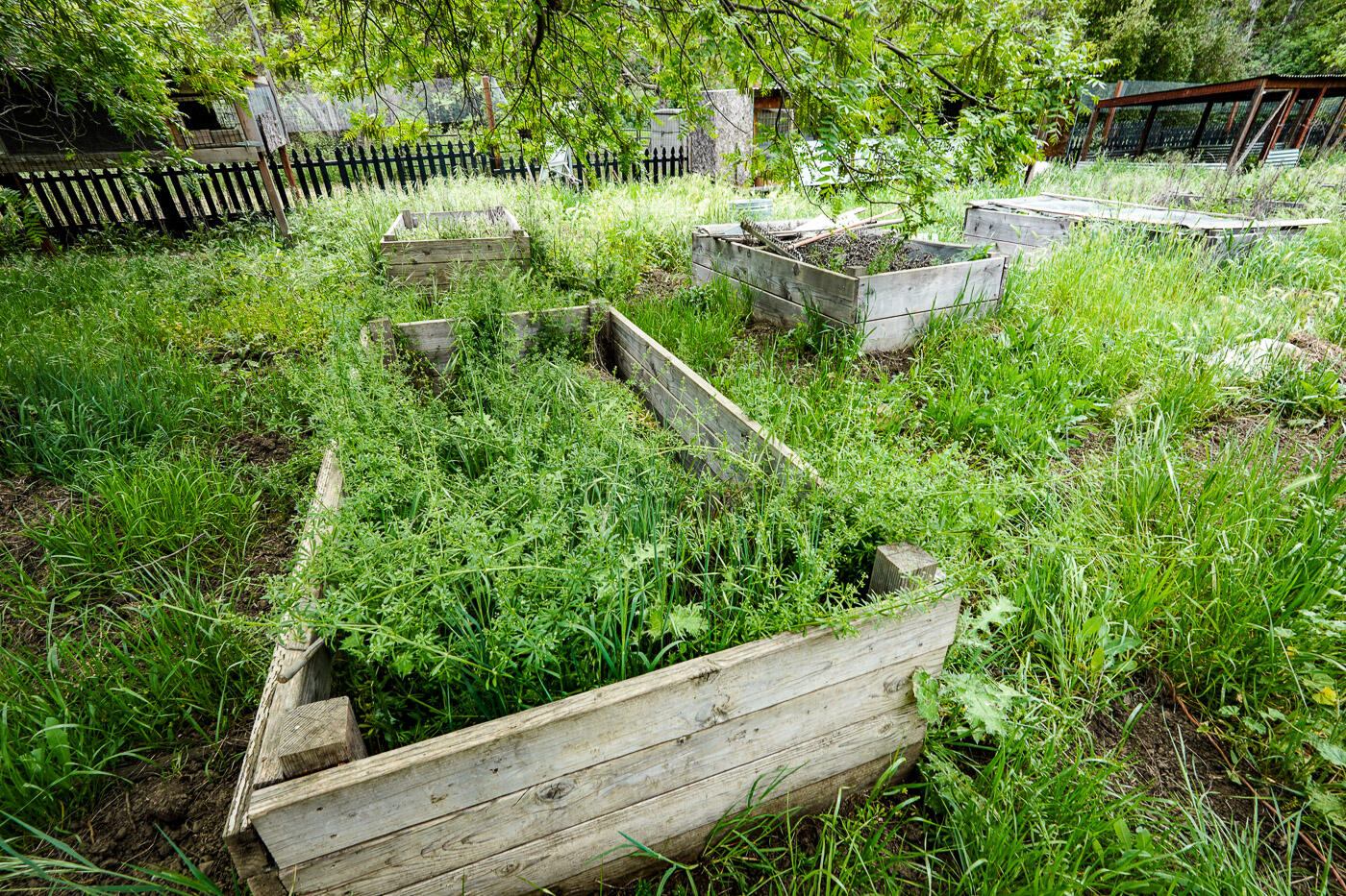 main property photo 51