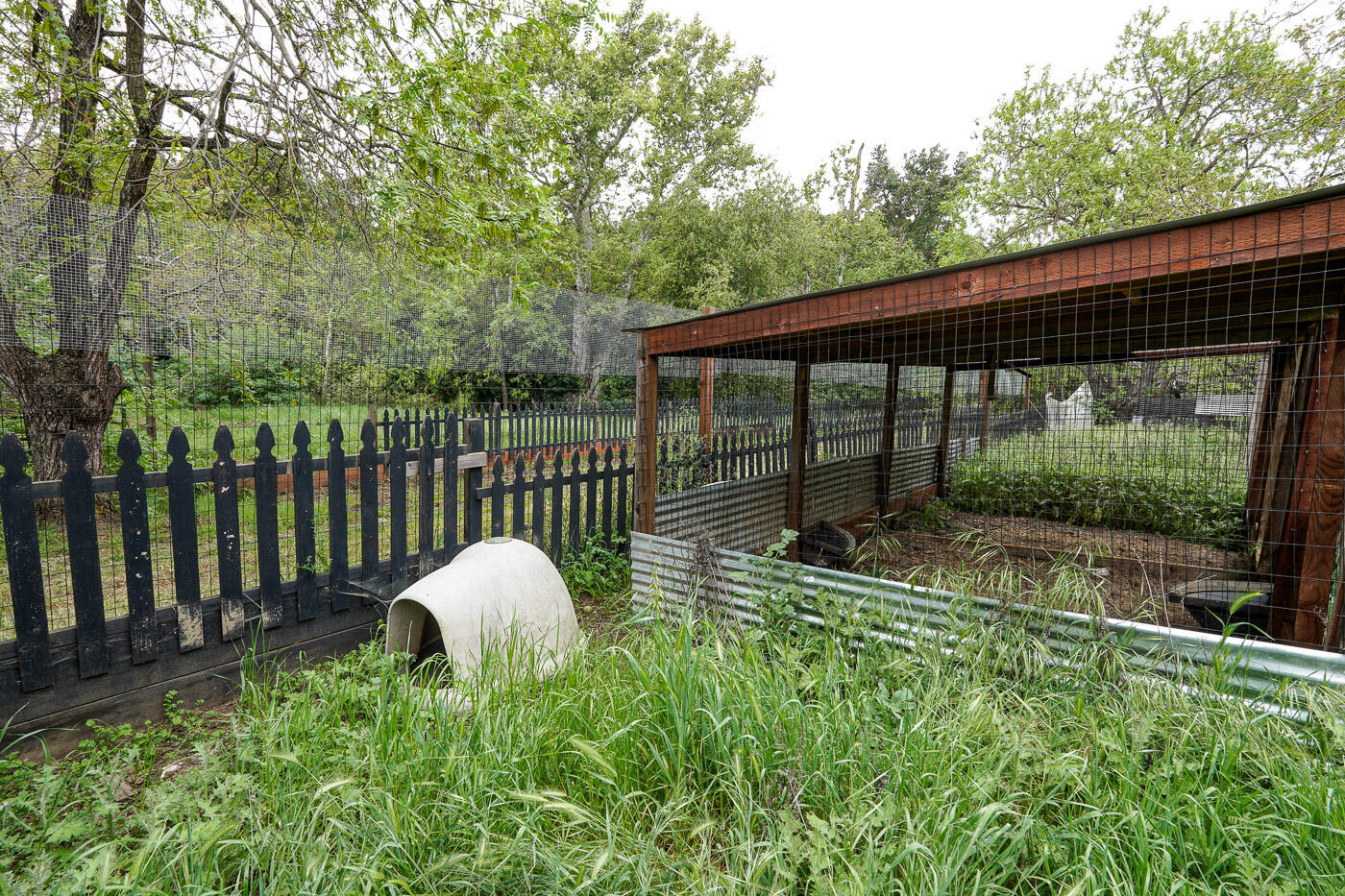main property photo 54