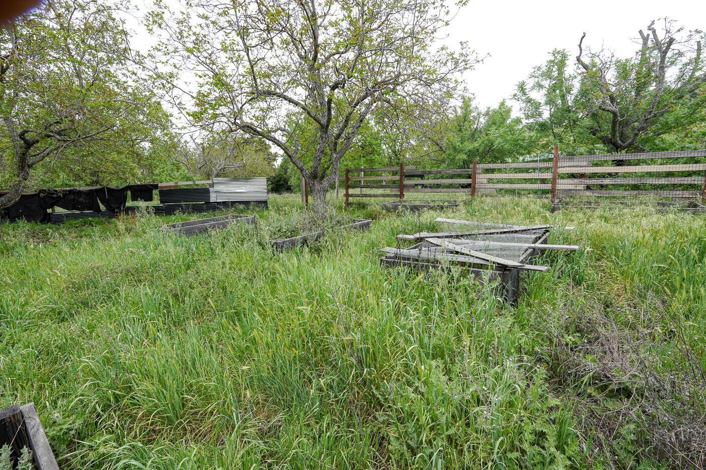 main property photo 56