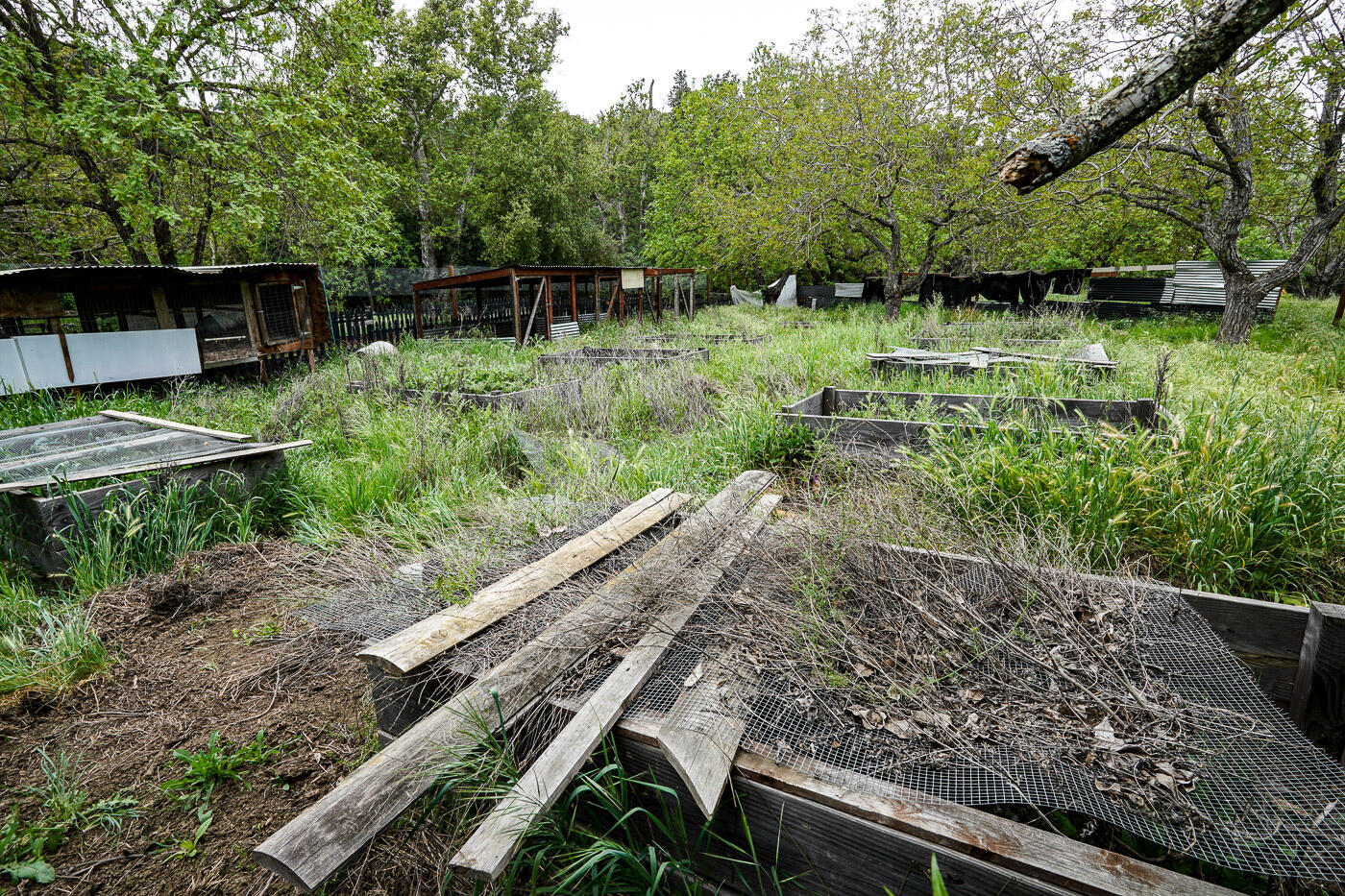 main property photo 57